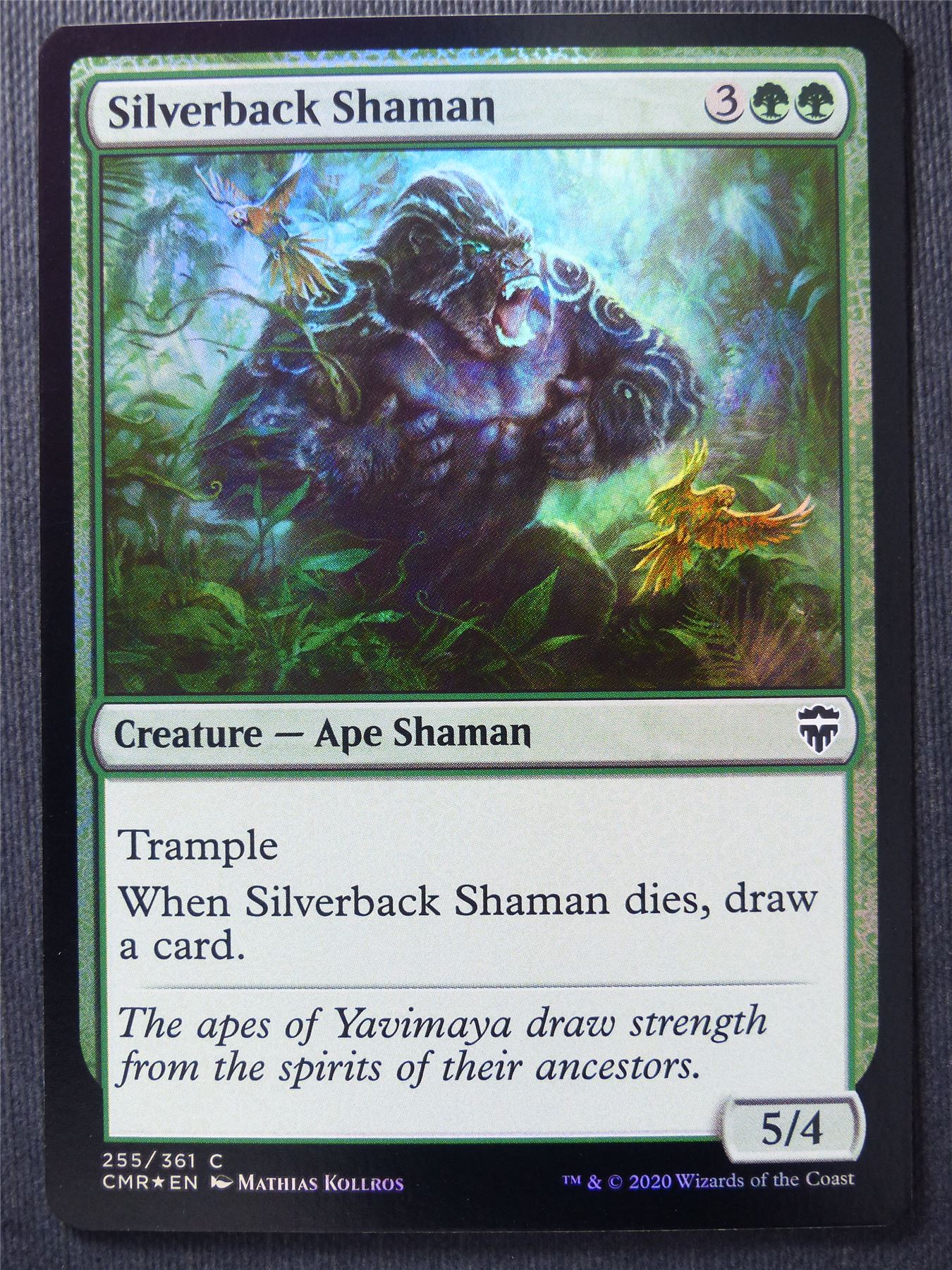 Silverback Shaman Foil - Mtg Magic Cards #1GK