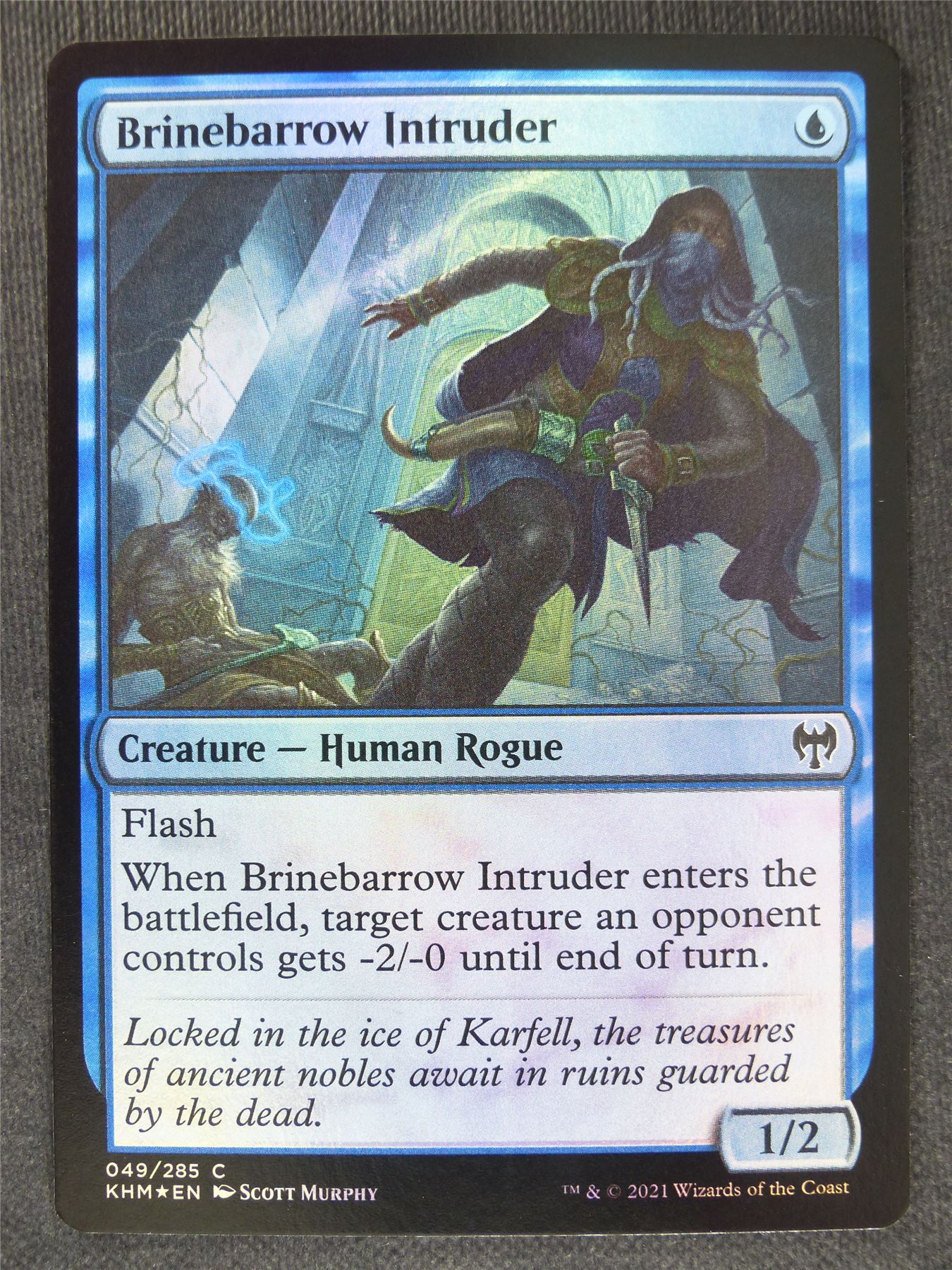 Brinebarrow Intruder Foil Collector
