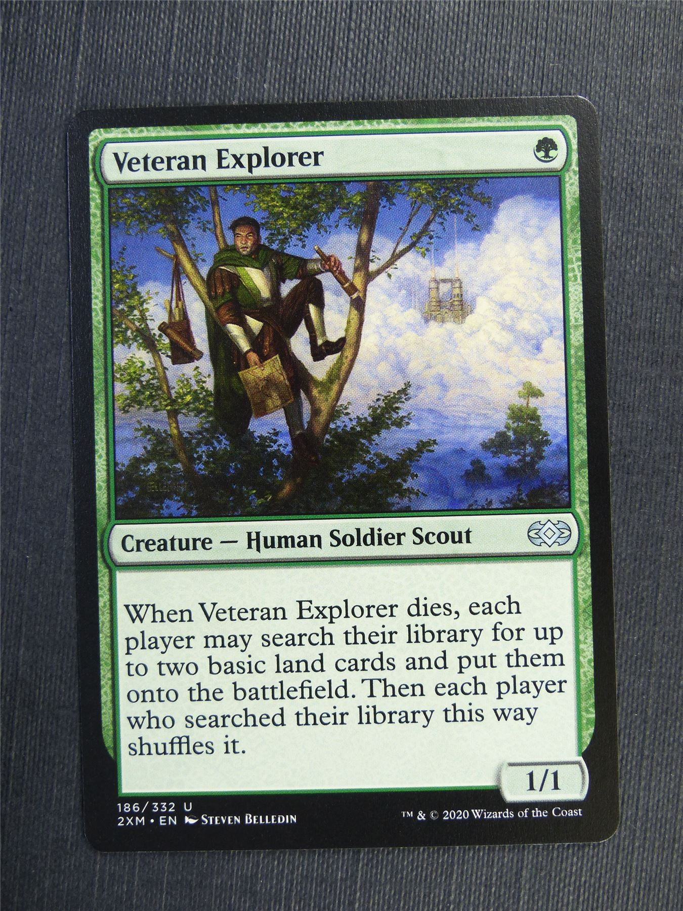Veteran Explorer