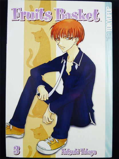 FRUIT Basket Volume 3 - Tokyo Pop Manga #3JD