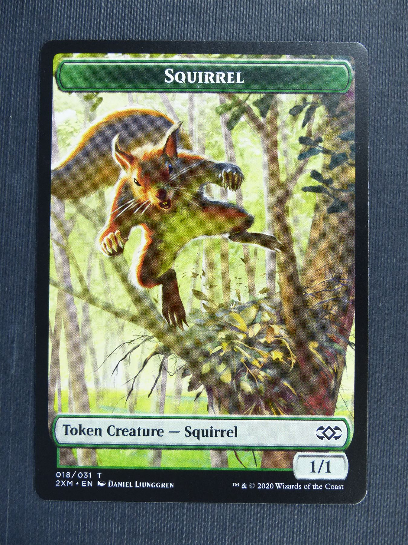 Squirrel - Token #3PM