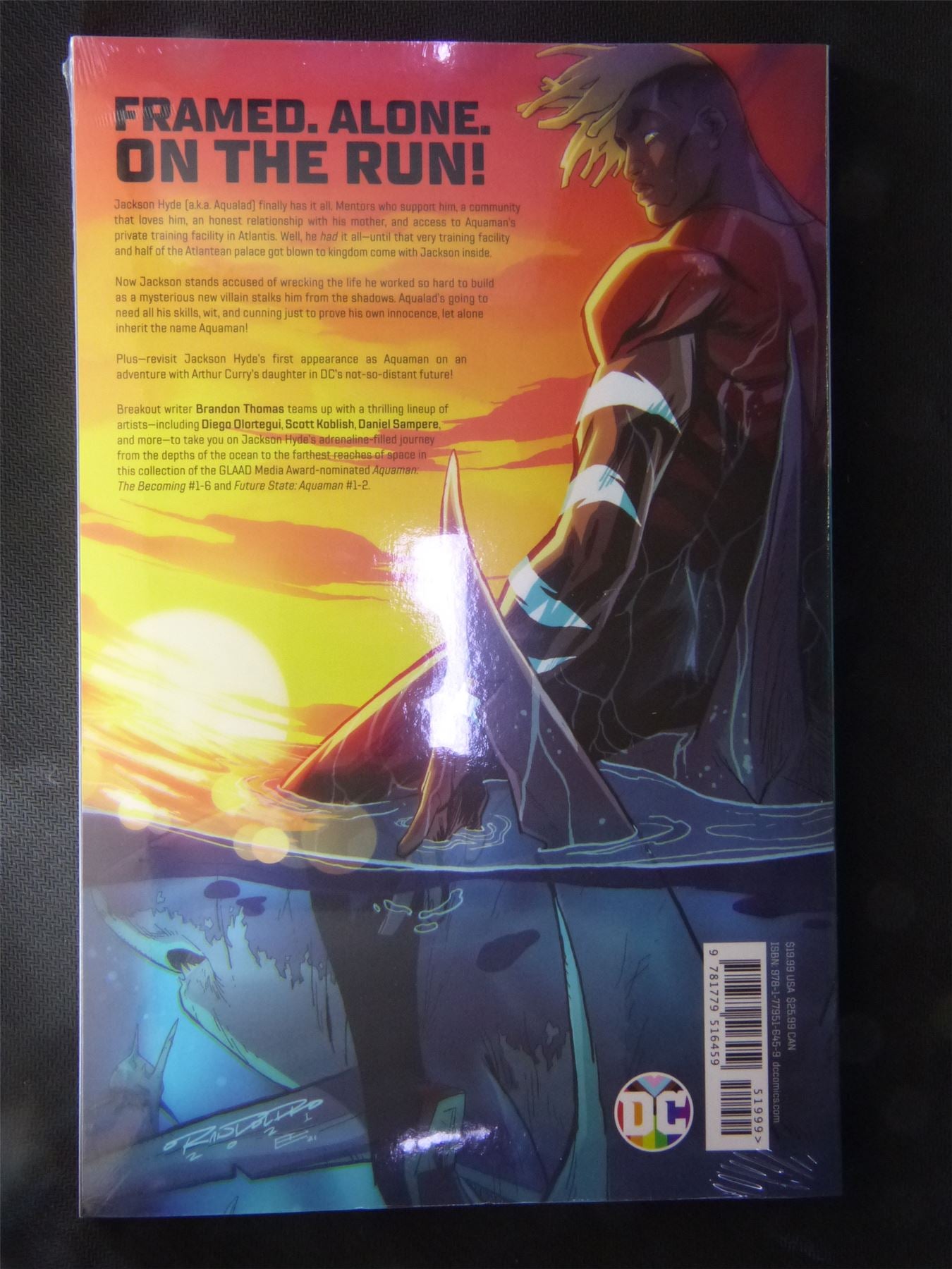 Aquaman - The Becoming - DC Graphic Softback #87