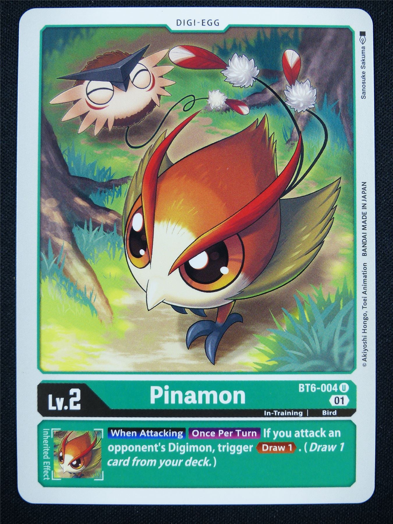 Pinamon BT6-004 U - Digimon Card #17O