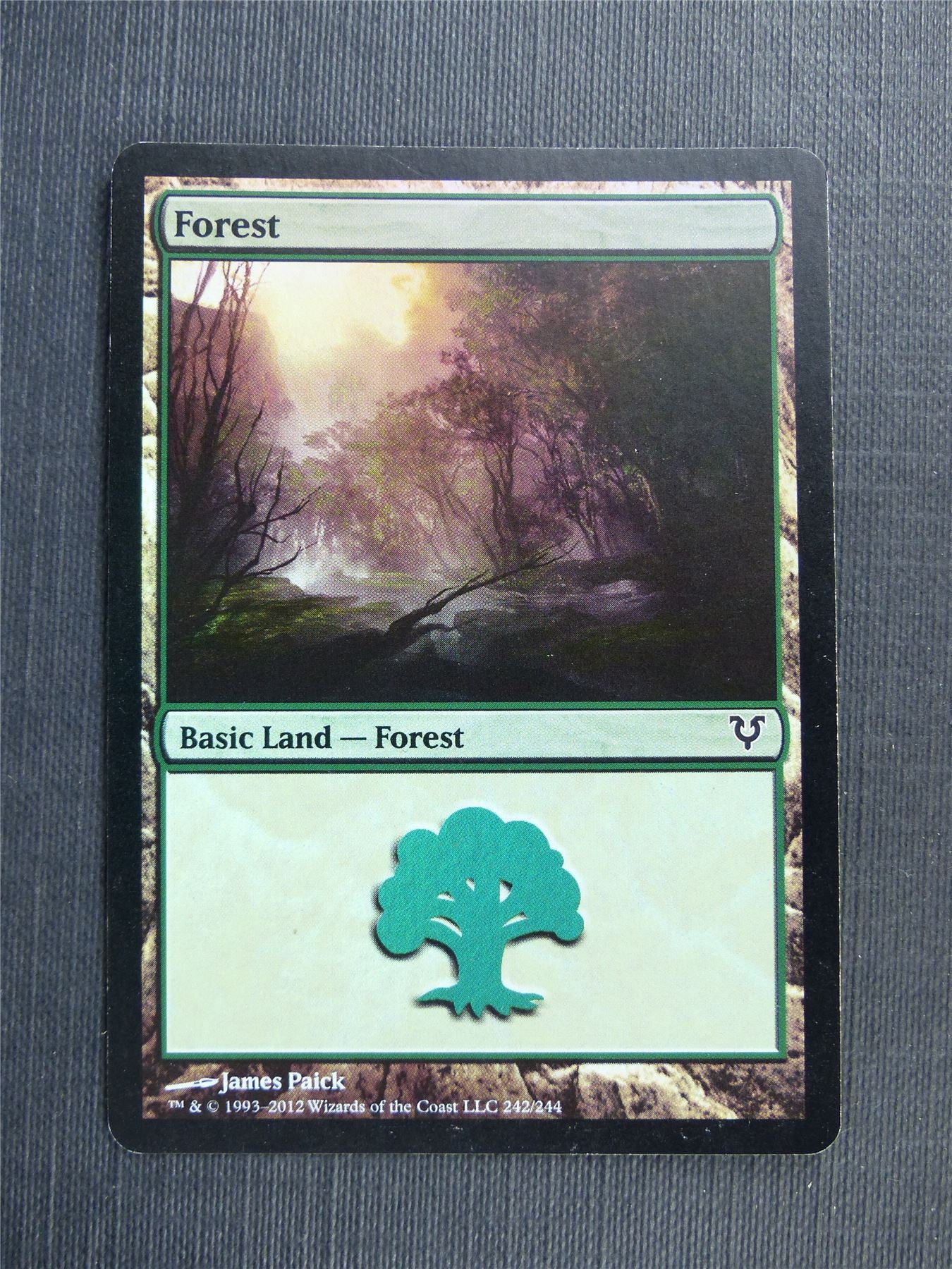 Forest 242/244 Foil - Mtg Magic Cards #522