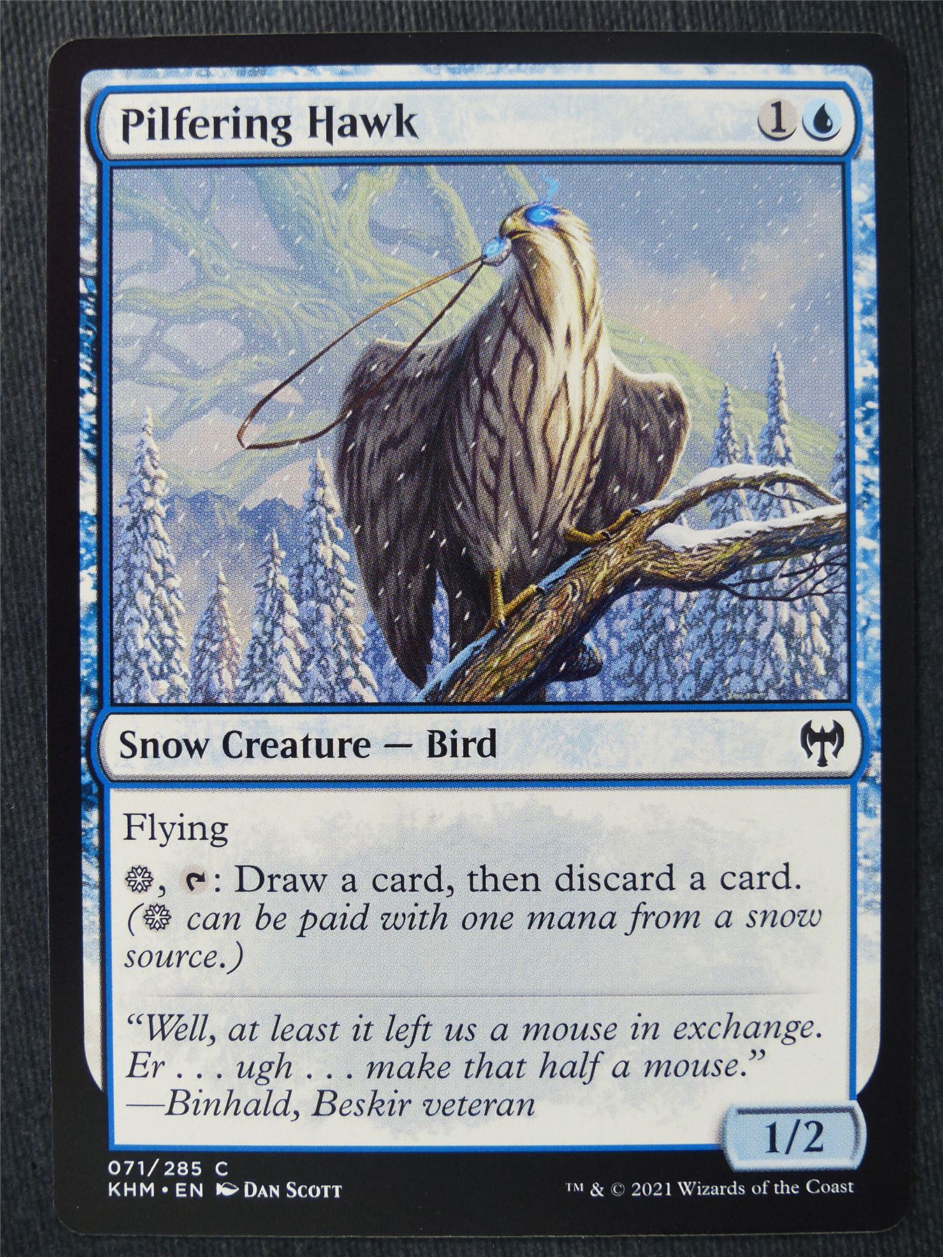 Pilfering Hawk - Mtg Magic Cards #J