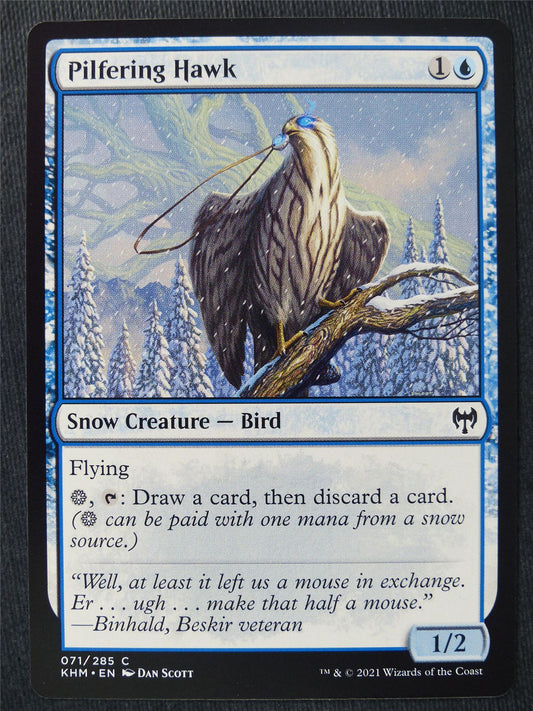 Pilfering Hawk - Mtg Magic Cards #J