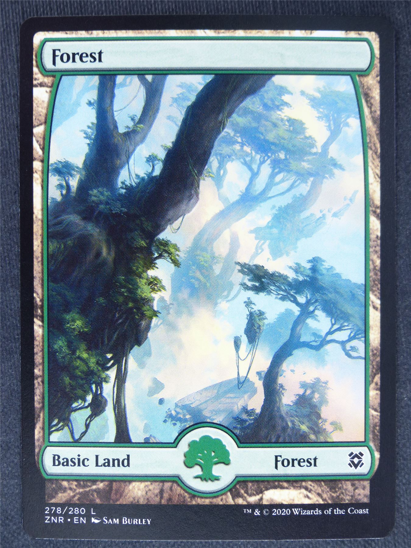 Forest 278/280 Full Art - Mtg Magic Cards #CR