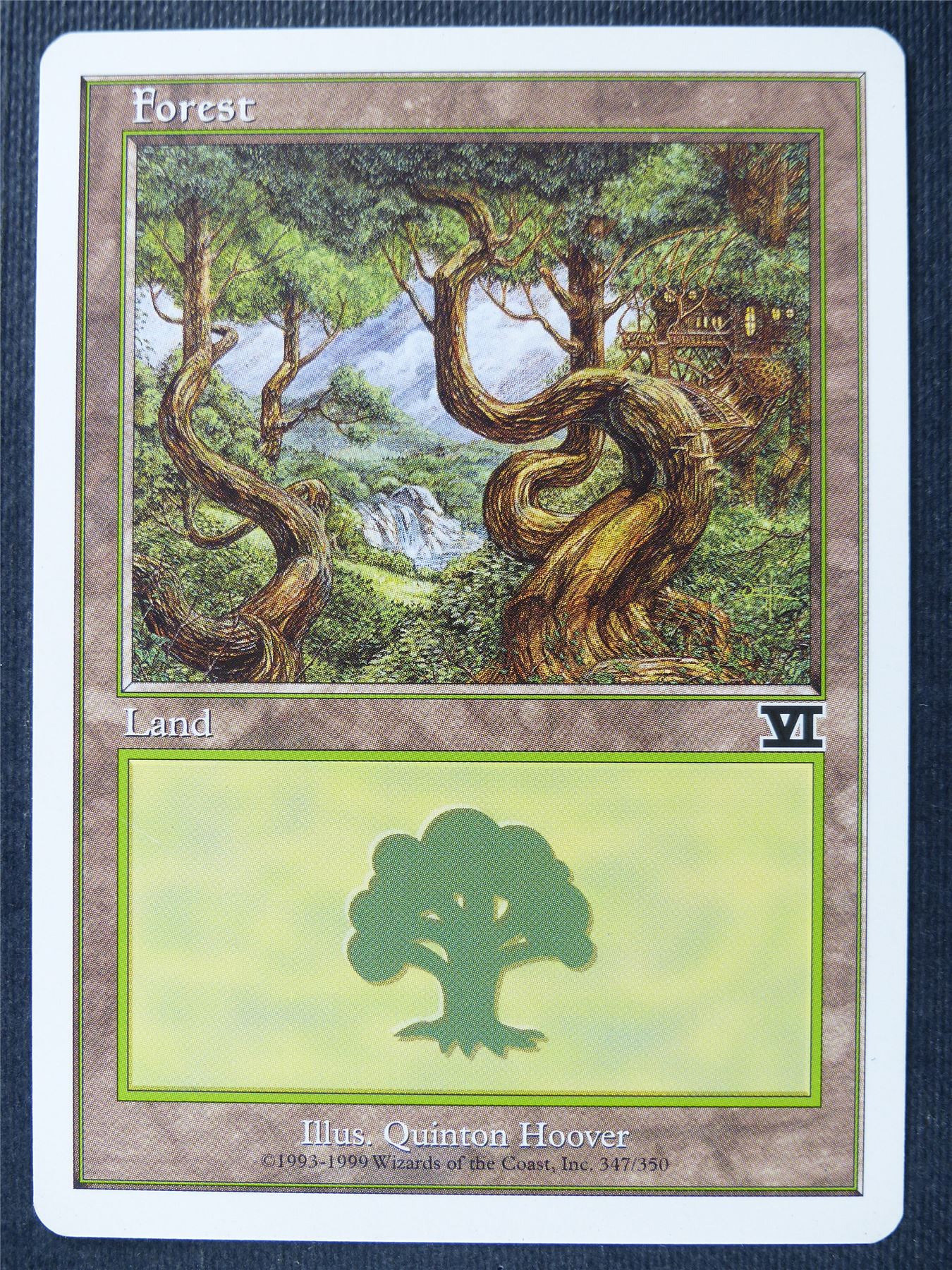 Forest - Sixth Ed - Mtg Card #1Y4