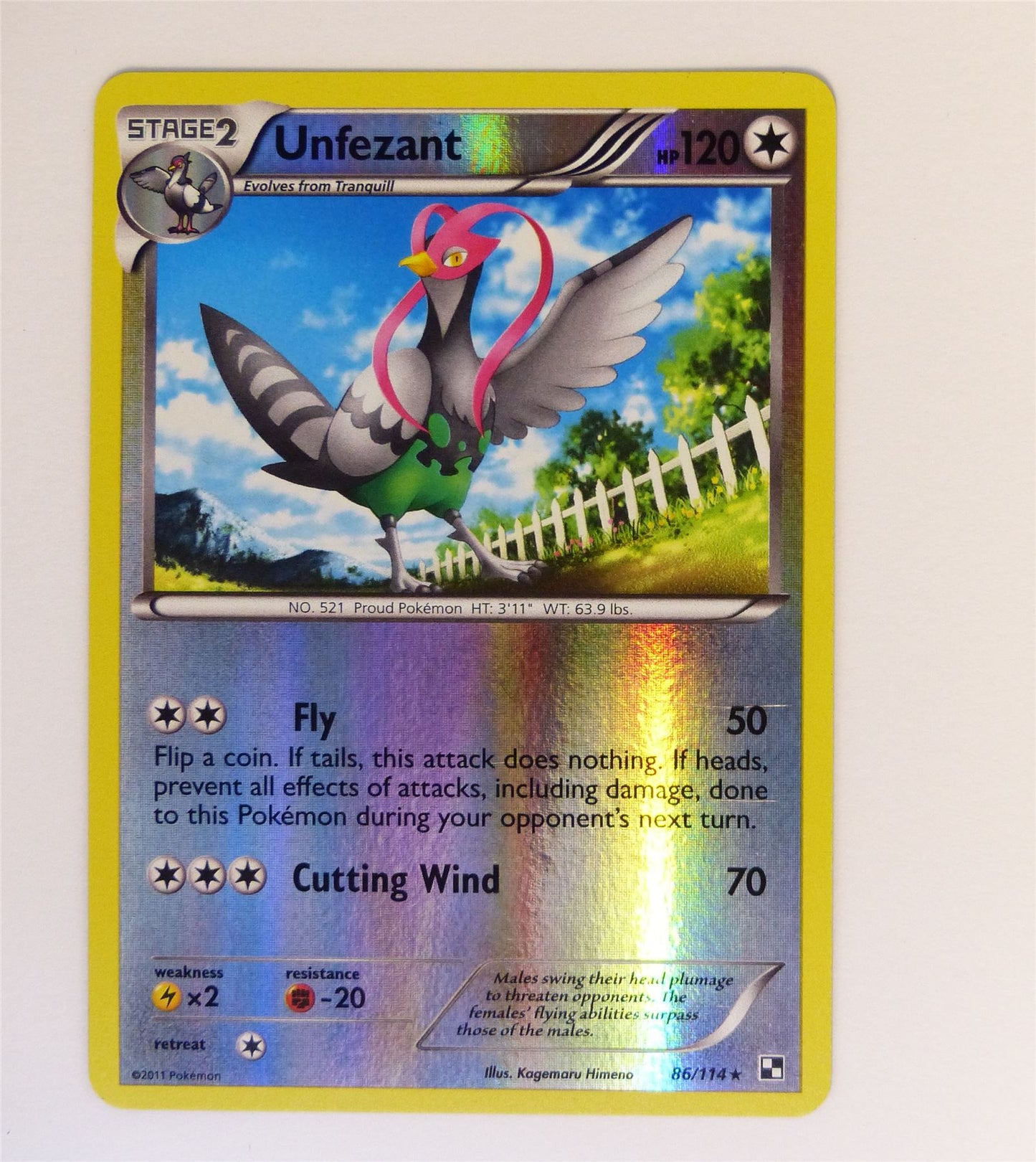 Unfezant - Holofoil - Pokemon Card # H54