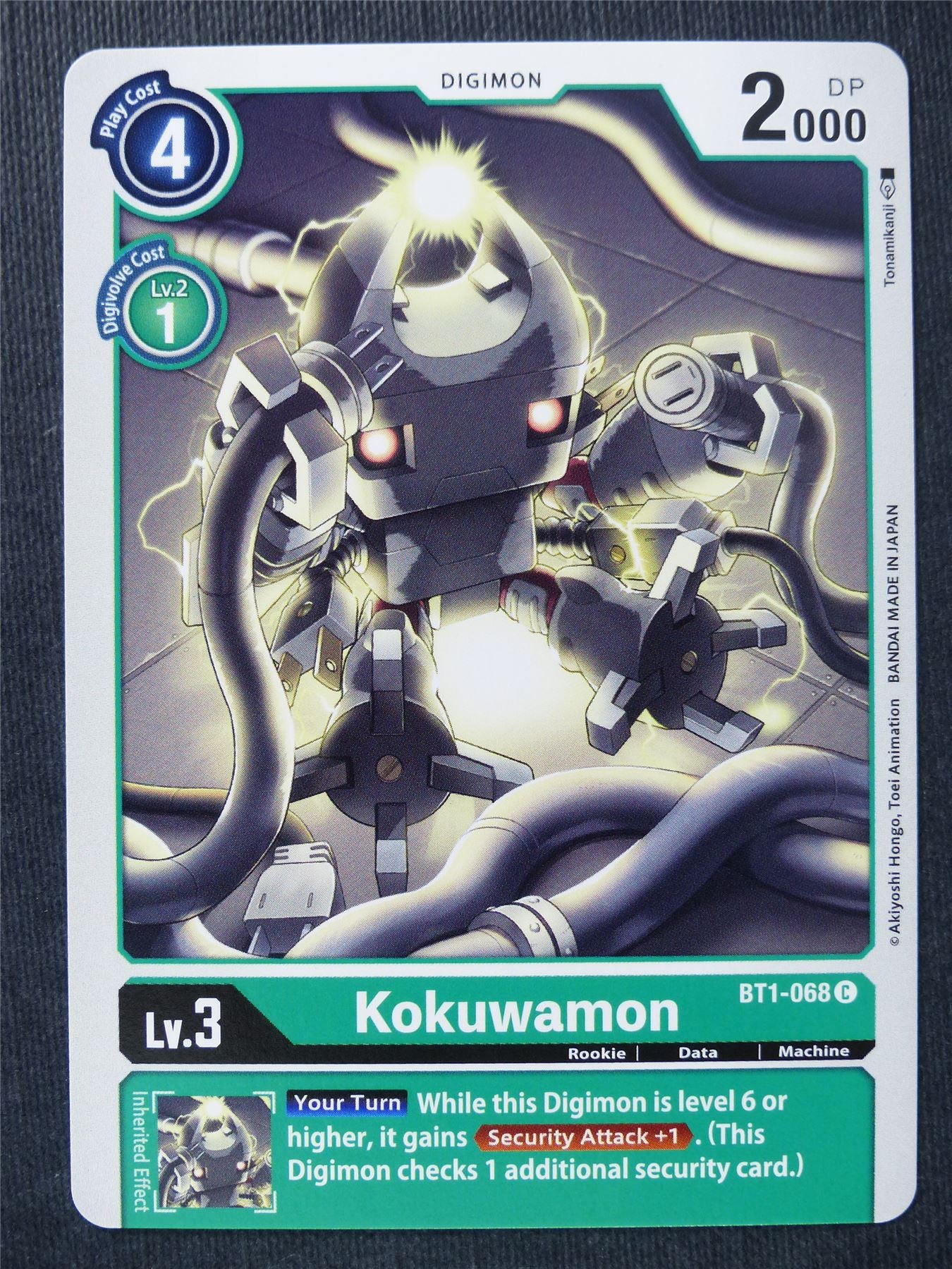 Kokuwamon BT1-068 C - Digimon Cards #TQ