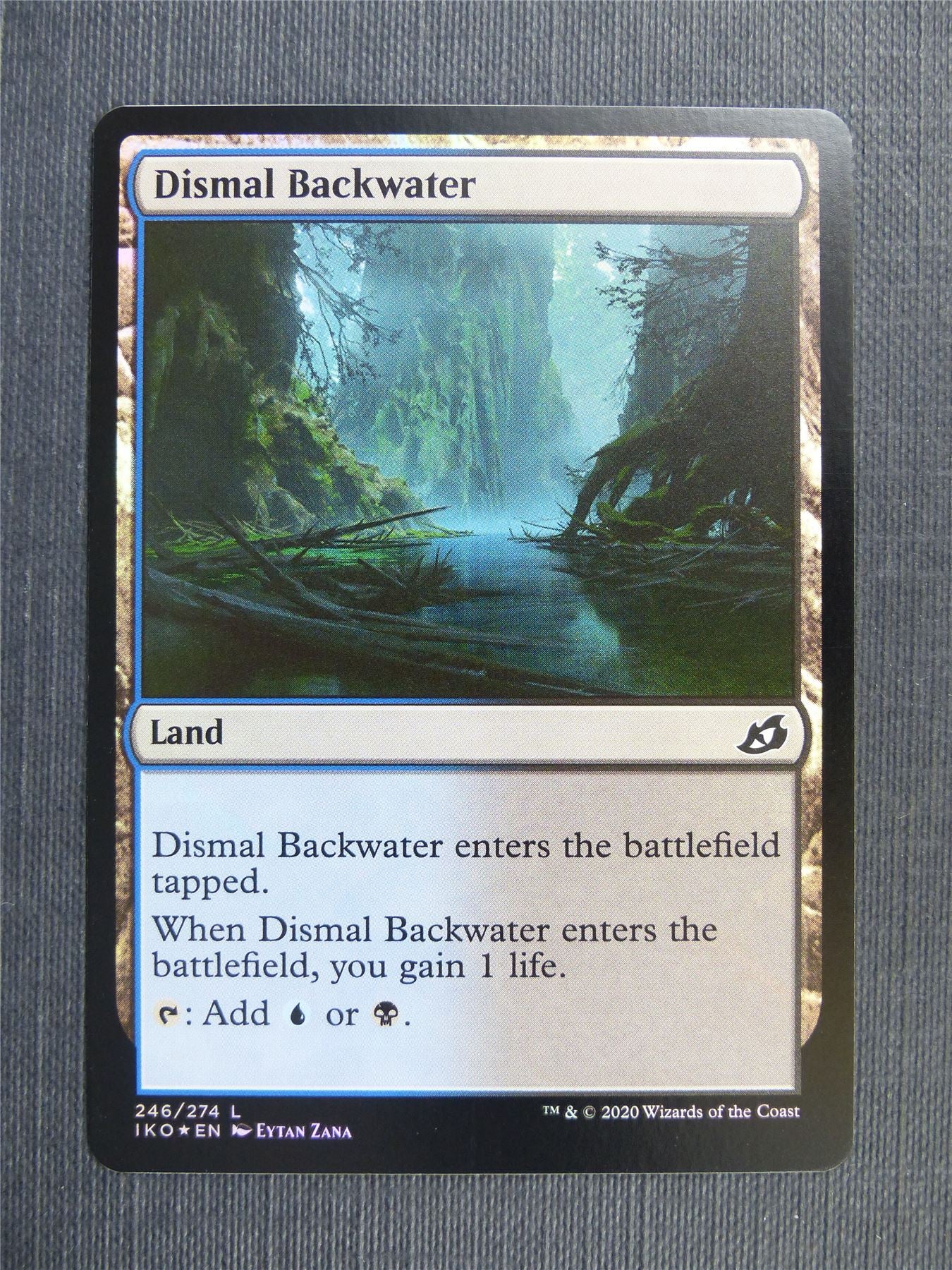 Dismal Backwater Foil - IKO Mtg Card