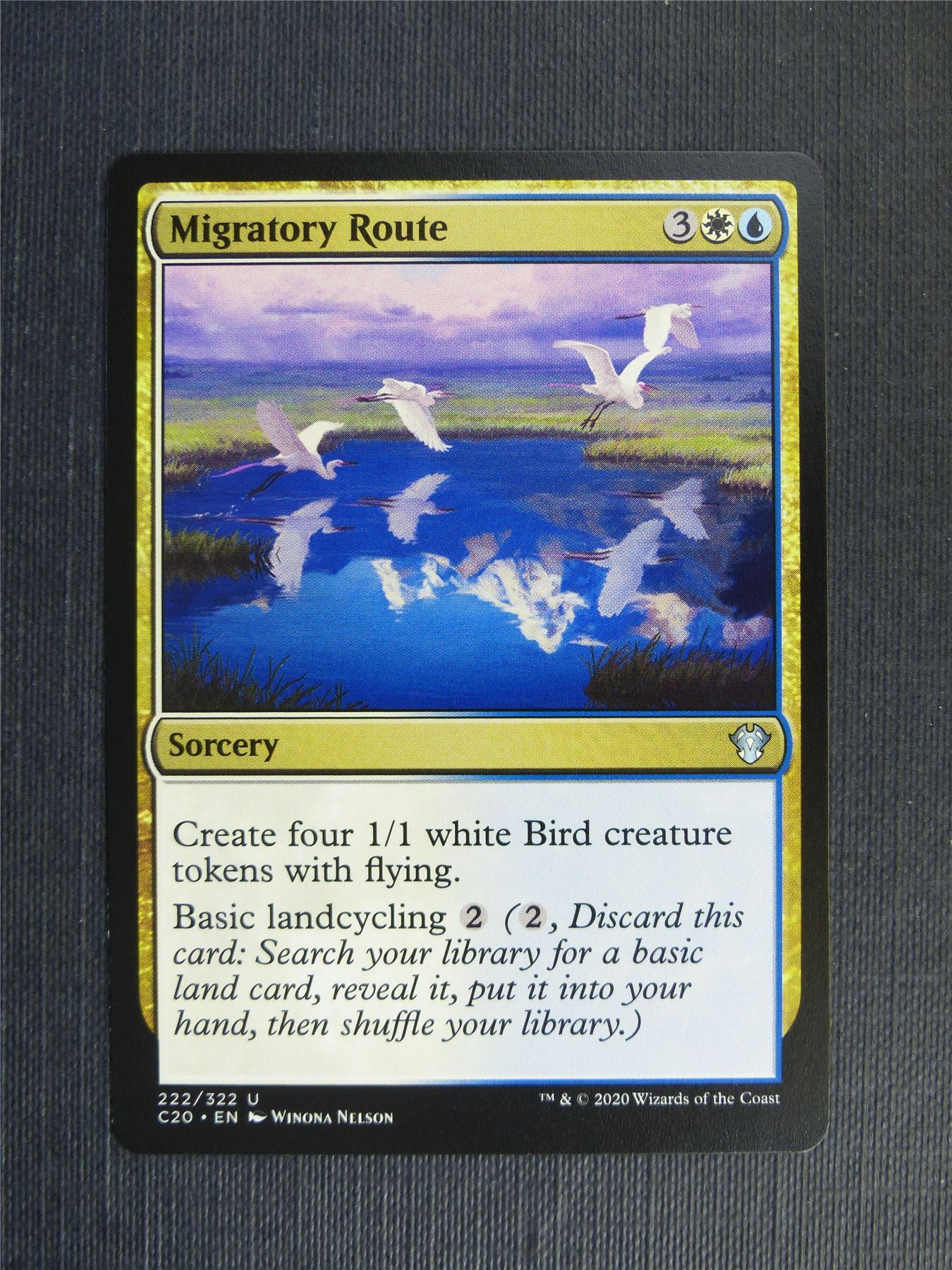 Migratory Route - C20 - Mtg Card