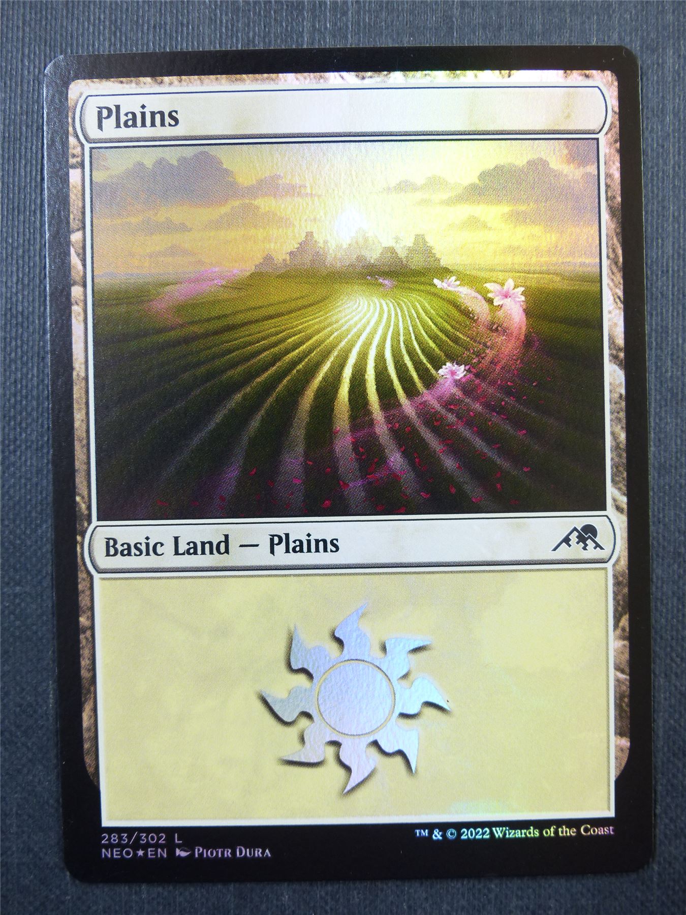 Plains 283/302 Foil - Mtg Card #41F