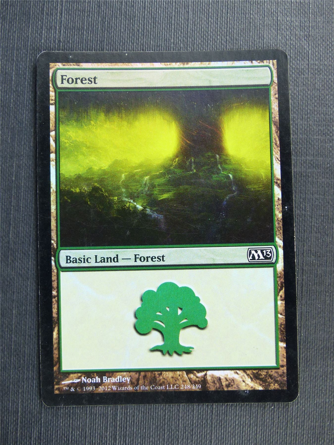 Forest 248/249 Foil - Mtg Magic Cards #52H