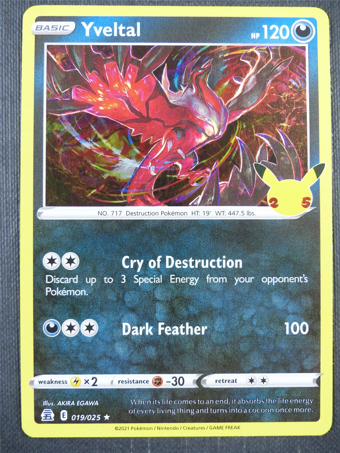 Yveltal 019/025 Holo - Pokemon Card #8W4