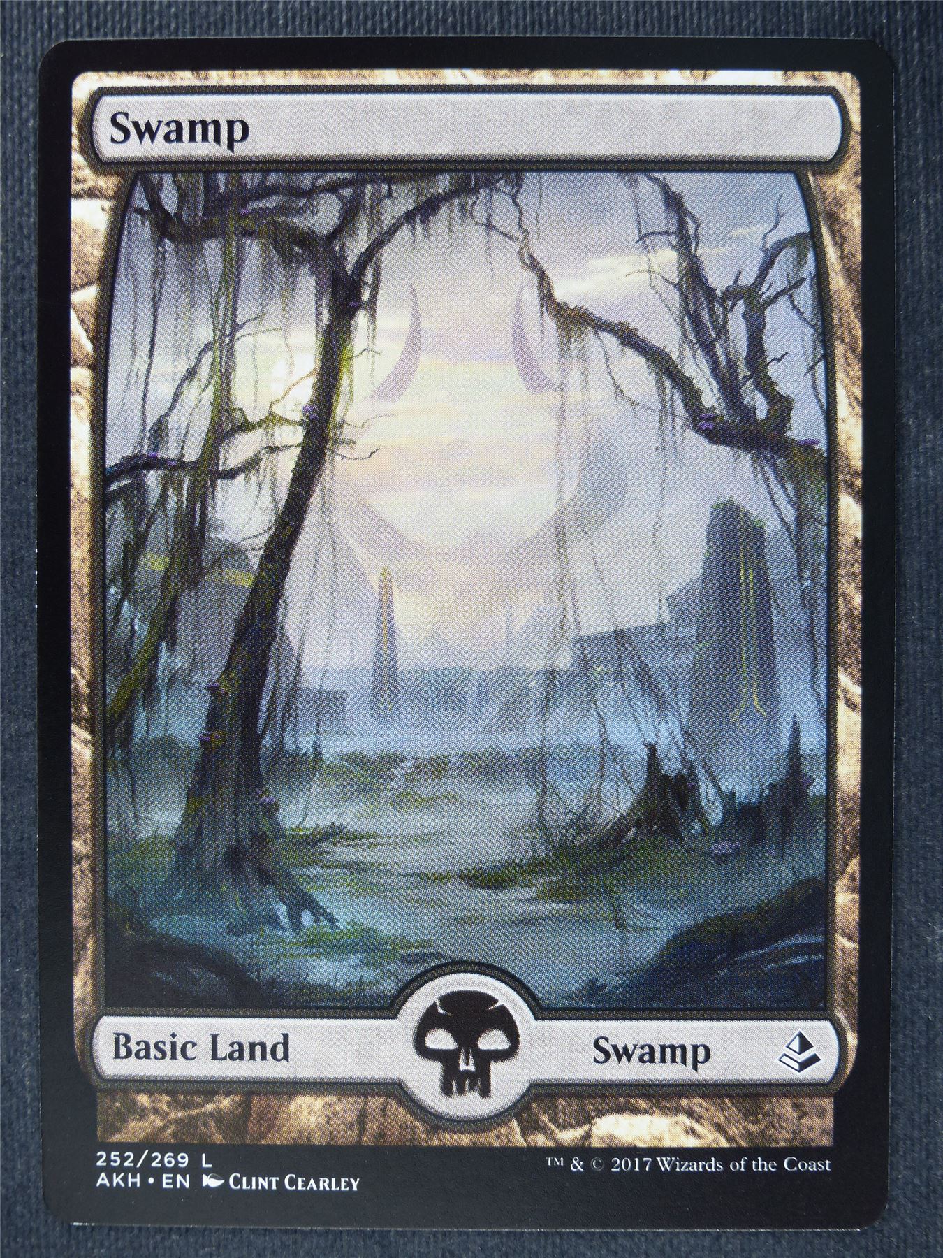 Swamp 252/269 Full Art - Mtg Magic Cards #Q1