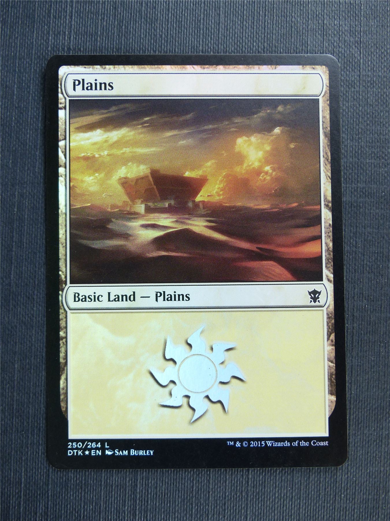 Plains 250/264 Foil - Mtg Magic Cards #539
