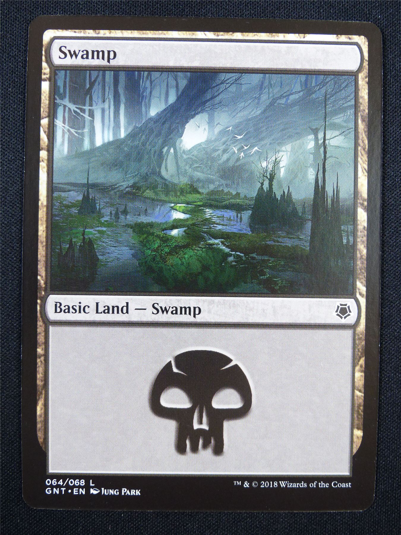 Swamp 064/068 - Mtg Card #1FF