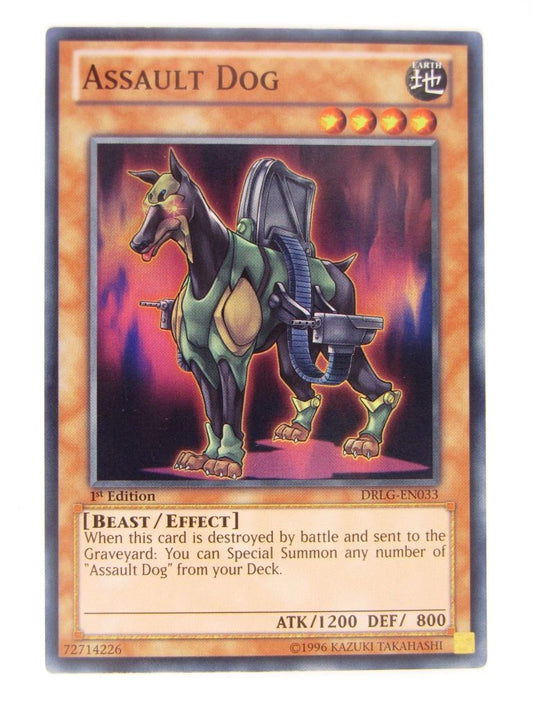 Yugioh Cards: ASSAULT DOG DRLG: Dragons of Legend 1st Ed