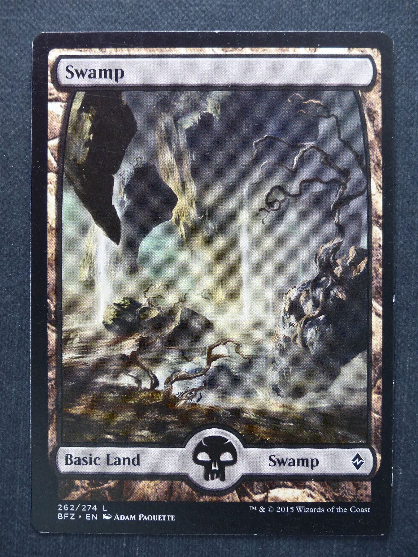 Swamp 262/274 Full Art - Mtg Magic Card #BK