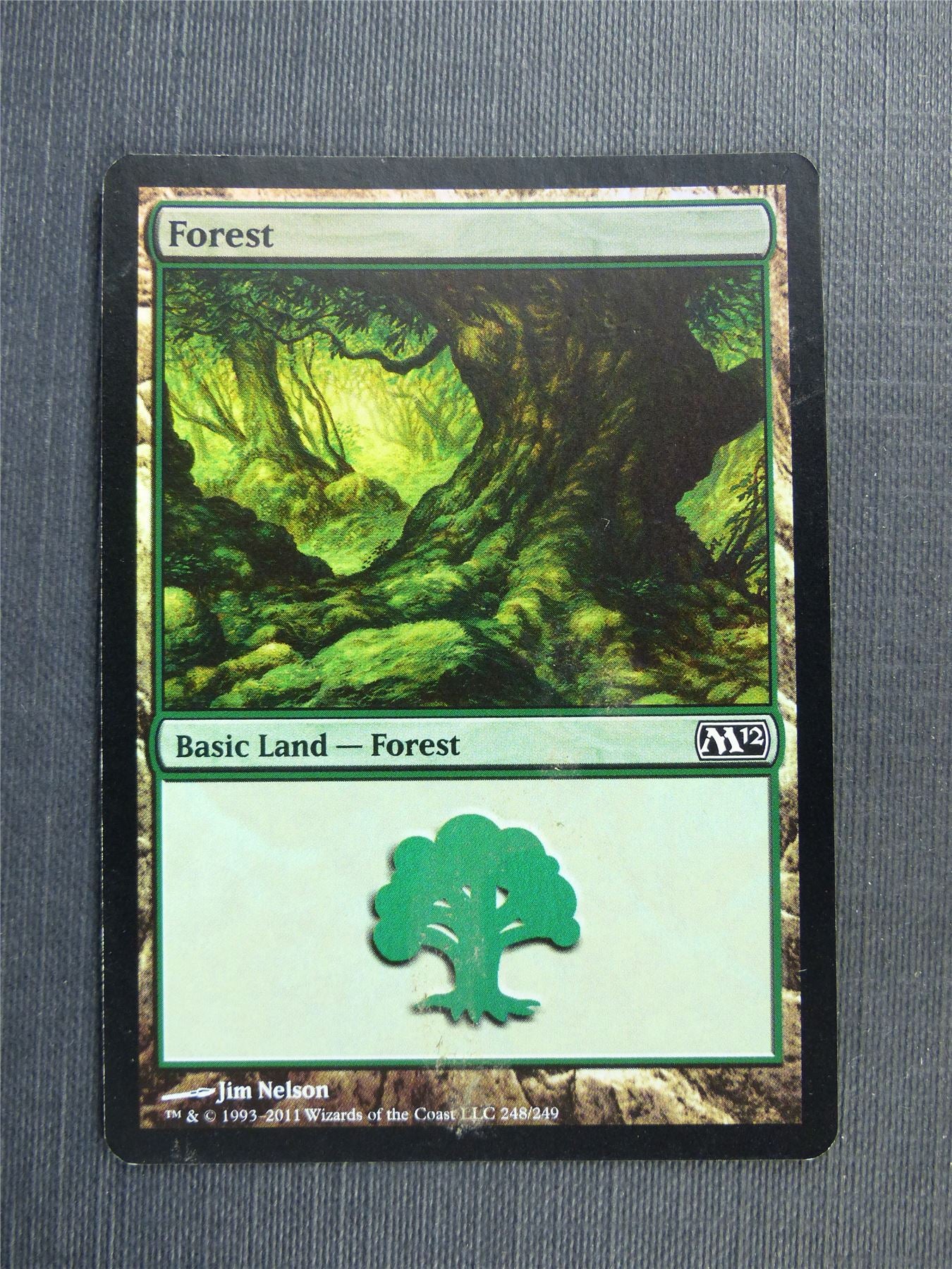 Forest 248/249 Foil - Mtg Magic Cards #5E5