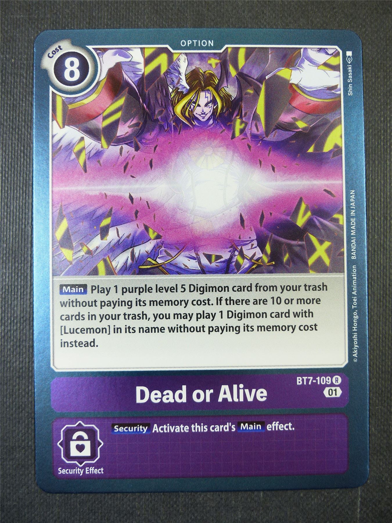 Dead or Alive BT7-109 R - Digimon Card #204