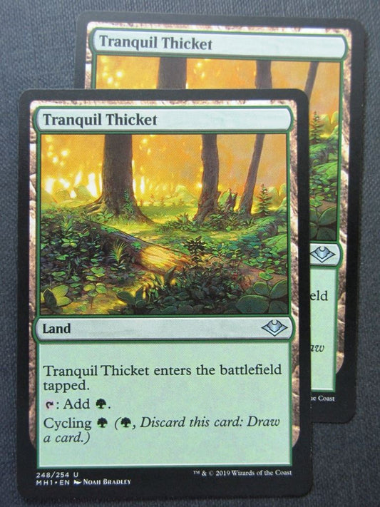 Tranquil Thicket x2 - Modern Horizons - Mtg Magic Cards # 9I1