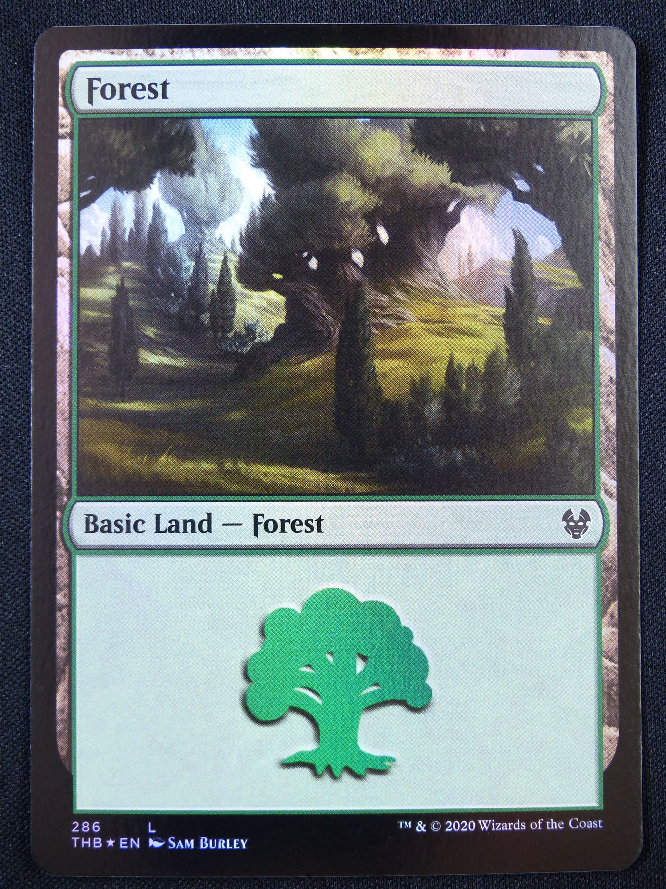 Forest 286 Foil - Mtg Card #22U