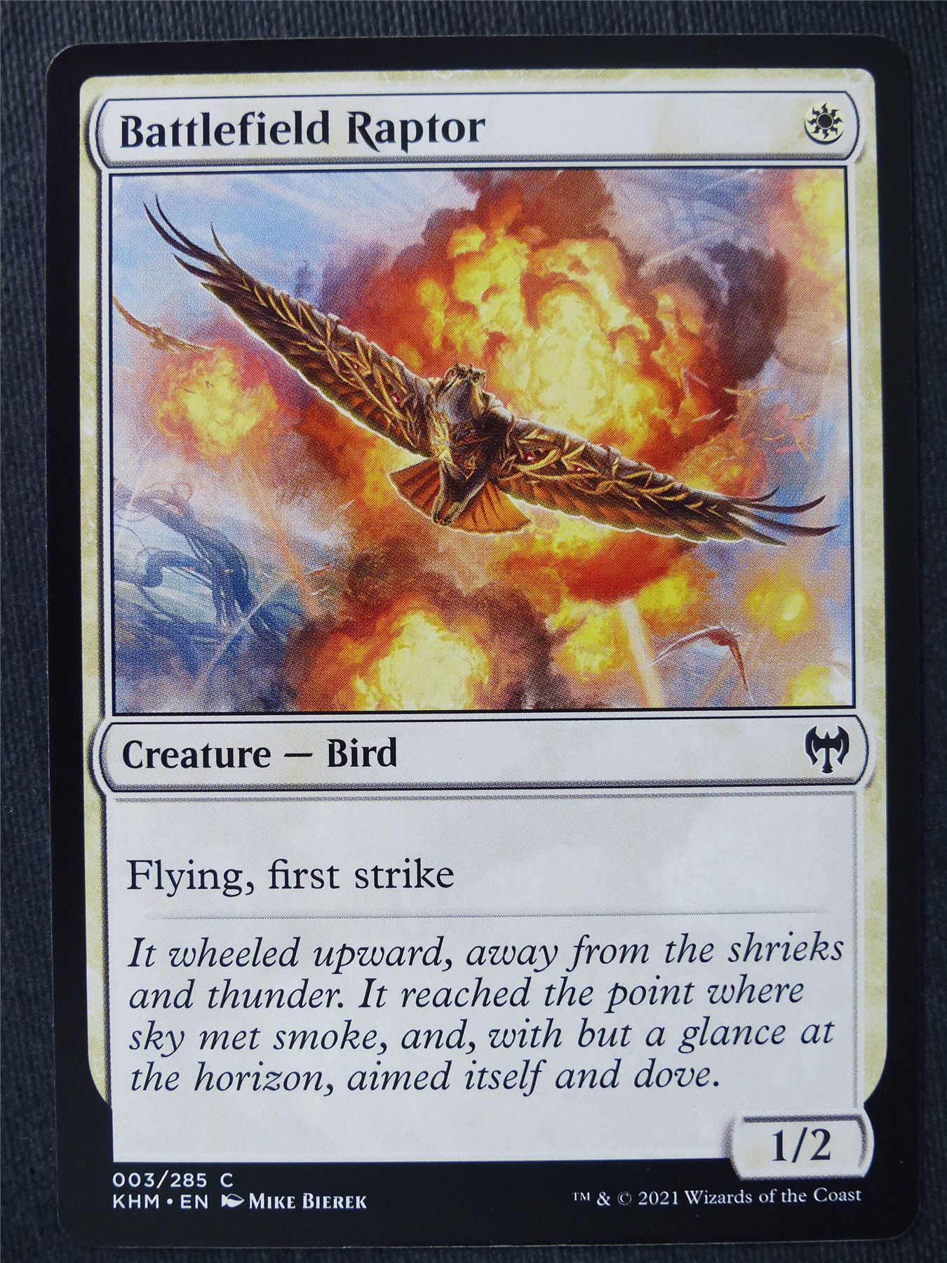 Battlefield Raptor - Mtg Magic Cards #Q