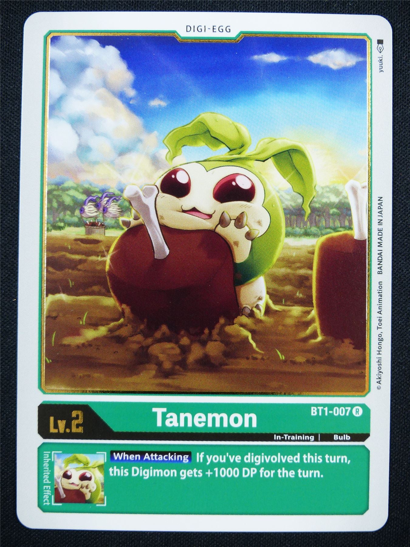 Tanemon BT1-007 R - Digimon Card #17T