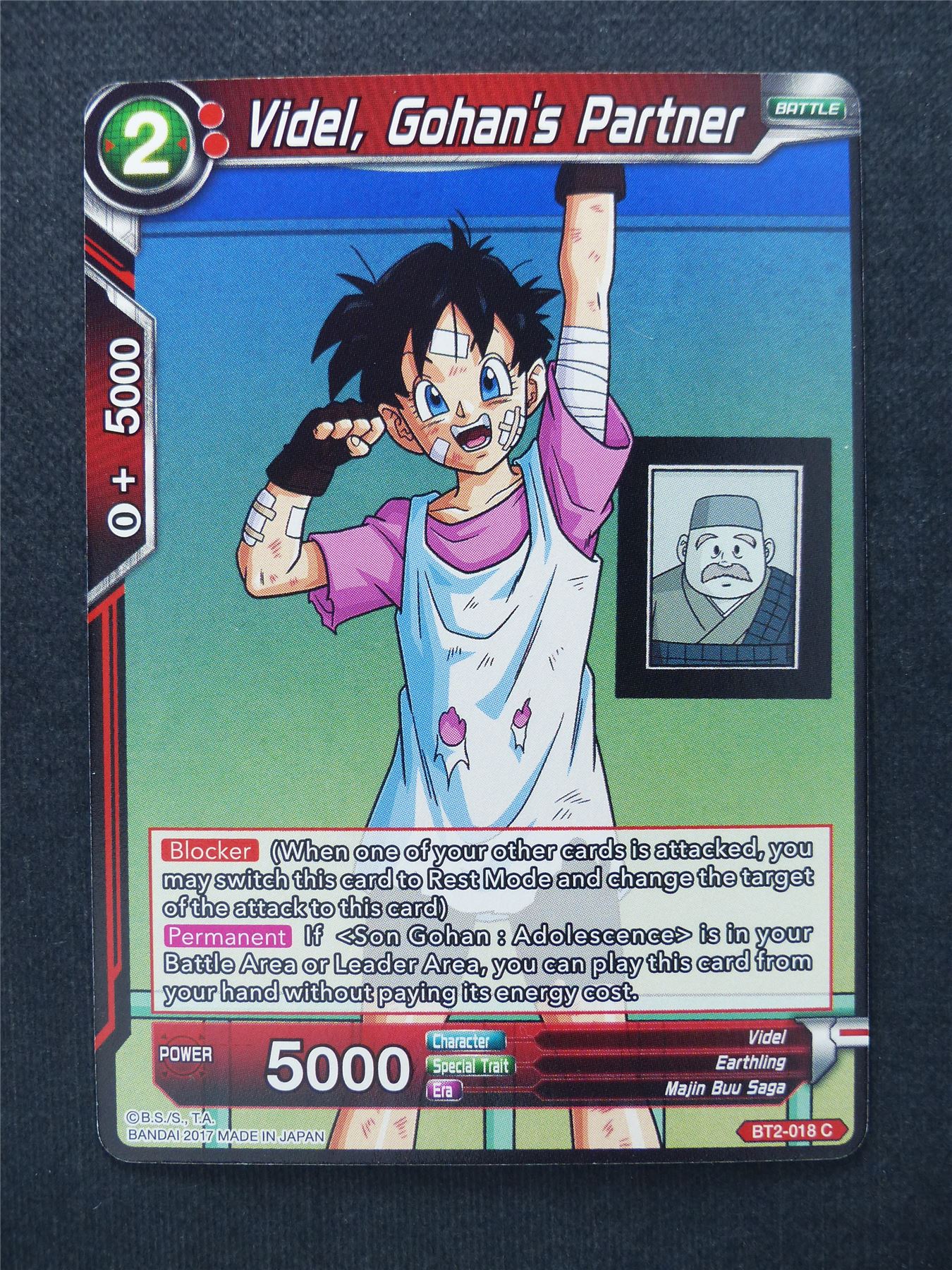 Videl Hogan's Partner - Dragon Ball Super Cards #V9