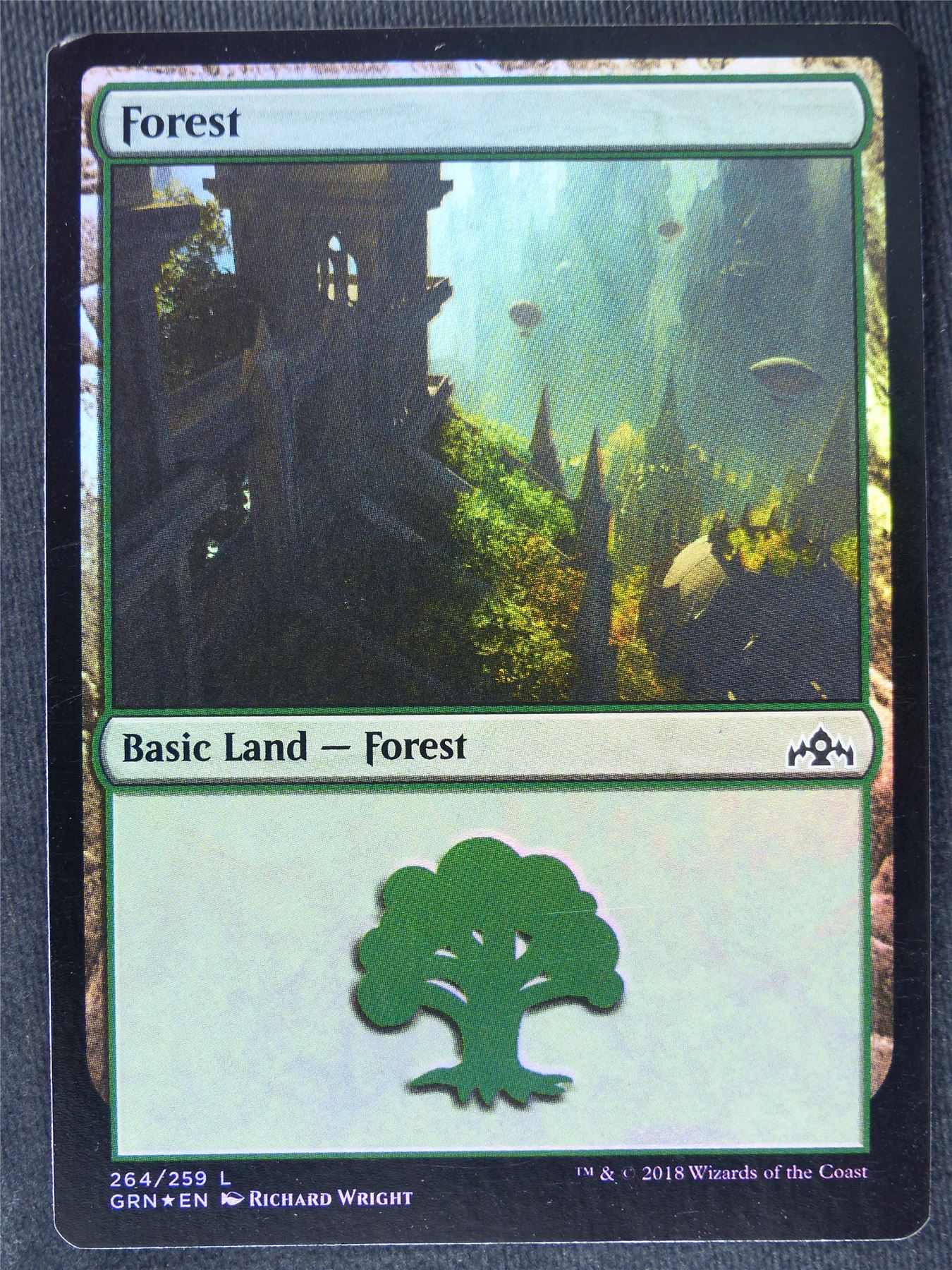 Forest 264/259 Foil - Mtg Magic Cards #1J3