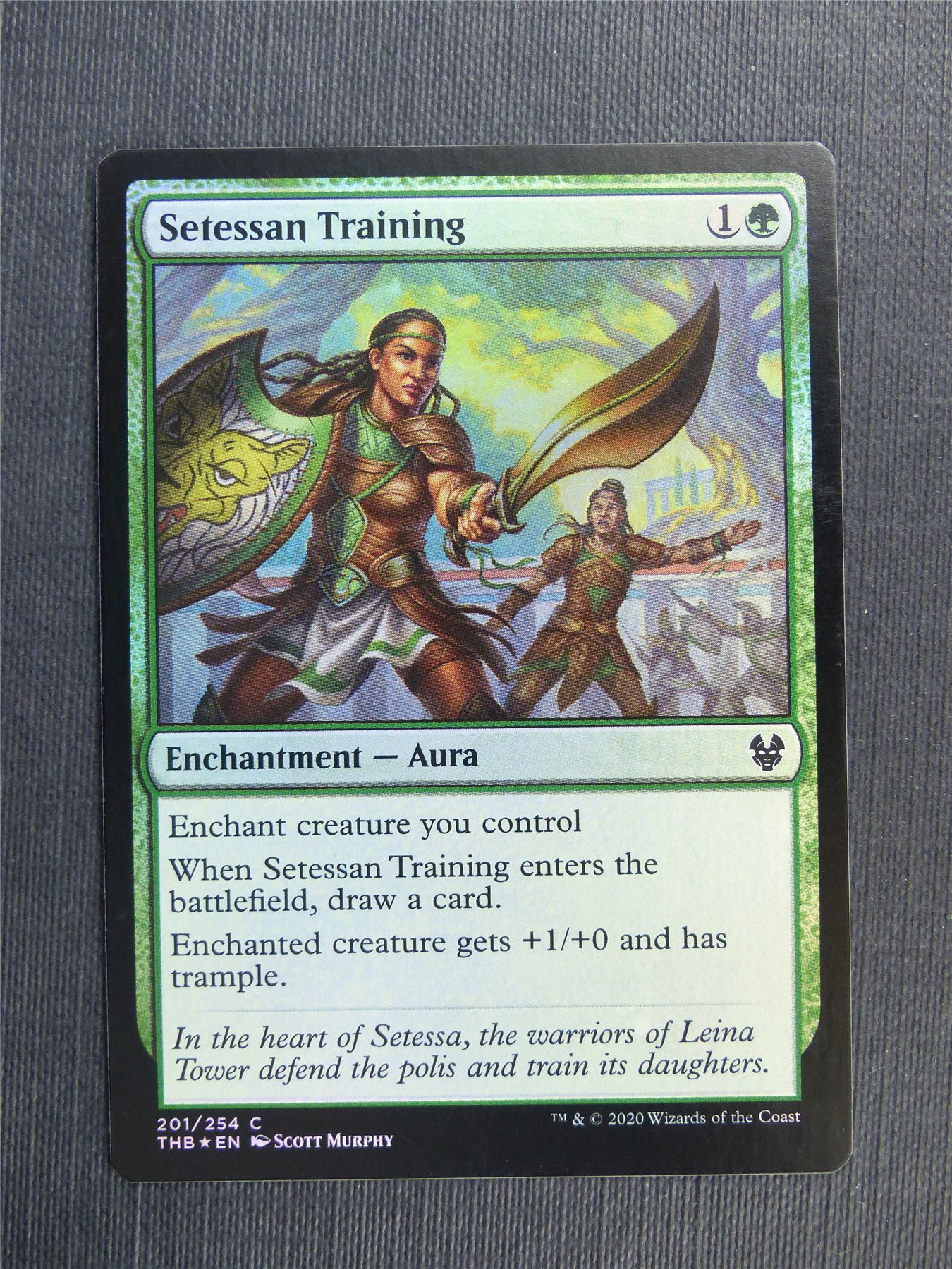 Setessan Training Foil - Mtg Magic Cards #39L