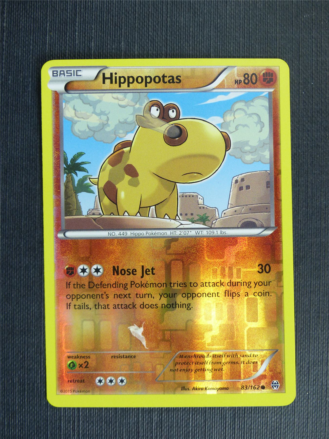 Hippopotas 83/162 Reverse Holo - Pokemon Cards #1FA