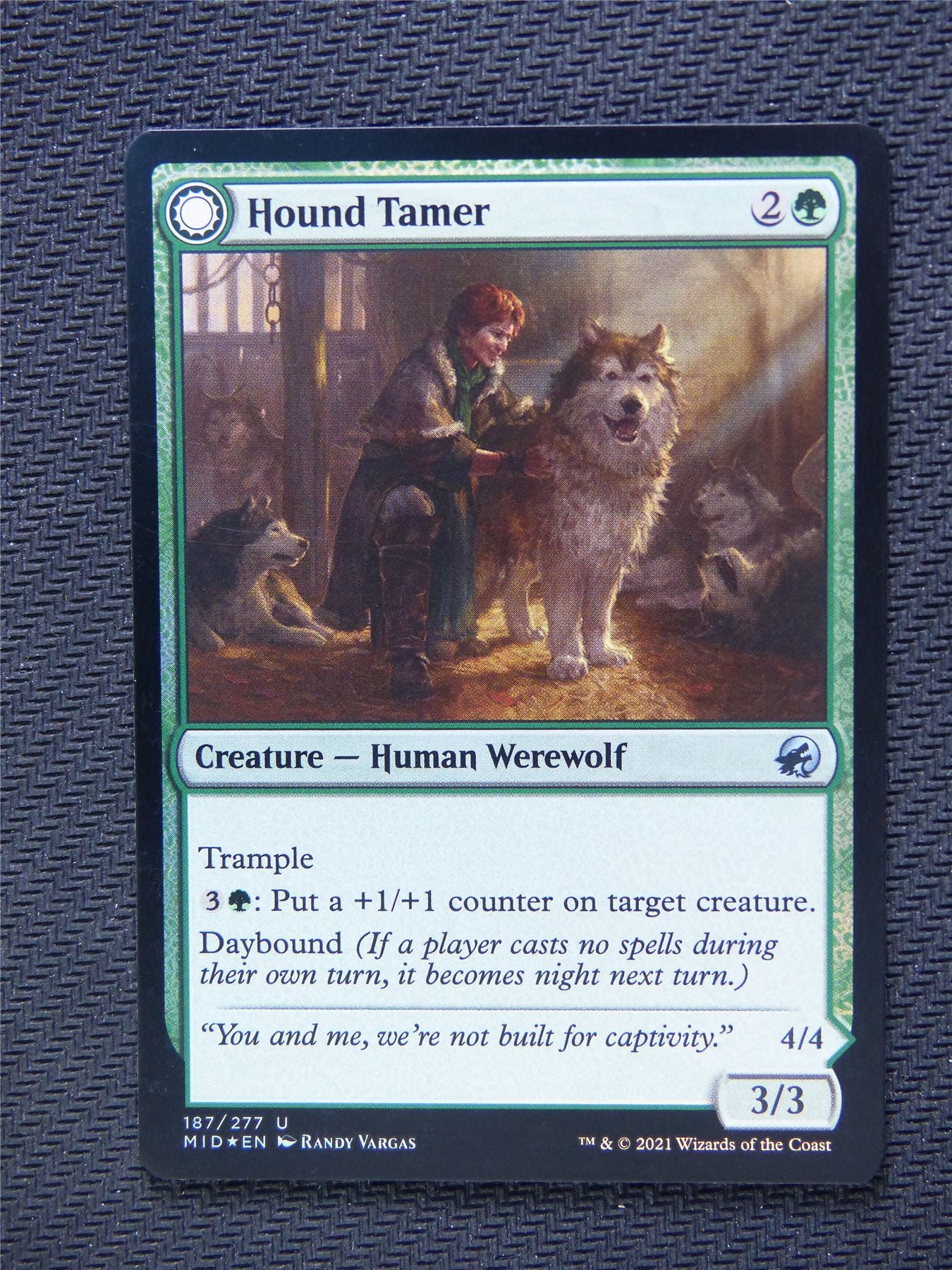 Hound Tamer Untamed Pup Foil - Innistrad - Mtg Card #3NN