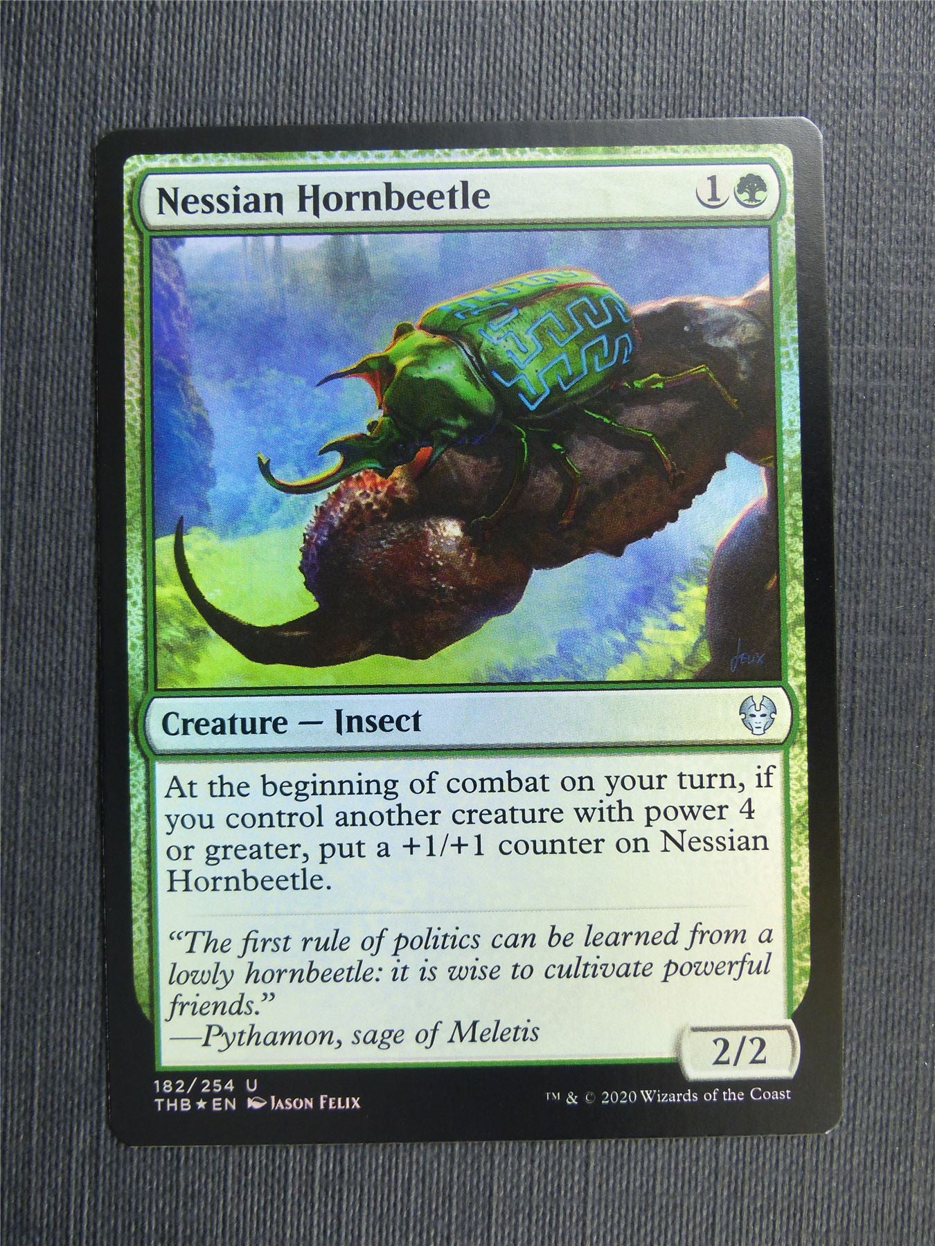 Nessian Hornbeetle Foil - Theros Collector Ed - Mtg Magic Cards #3LG