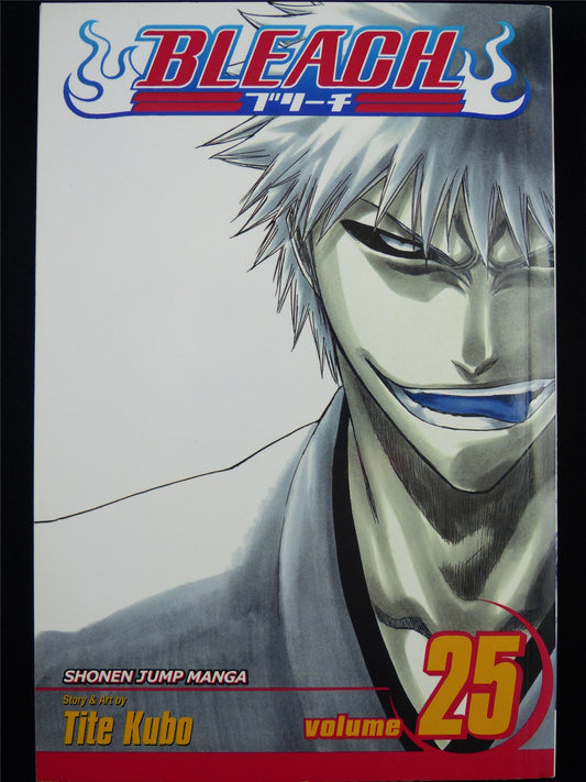 BLEACH Volume 25 - Shonen Jump Viz Manga #3IZ