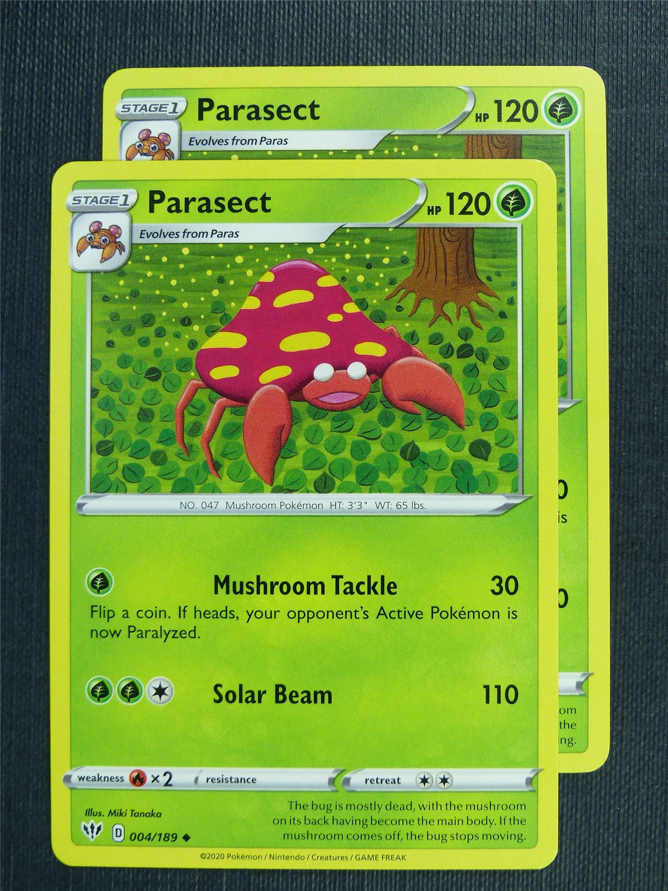 Parasect 004/189 x2  - DAA - Pokemon Card #3DL