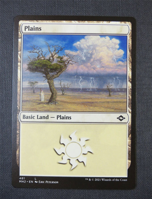 Plains - Land - Mtg Card #55J