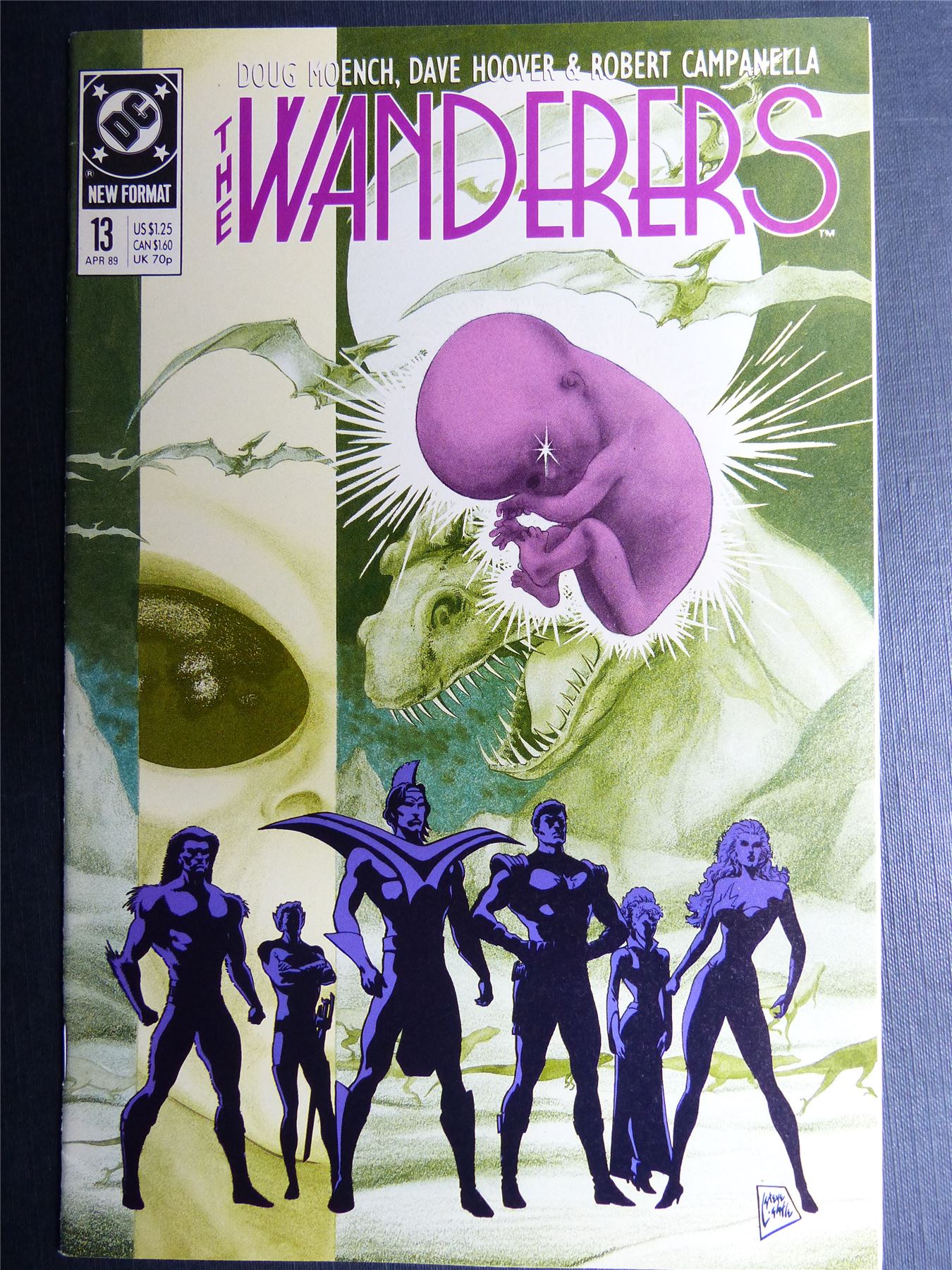 The WANDERERS #13 - DC Comics #7Z