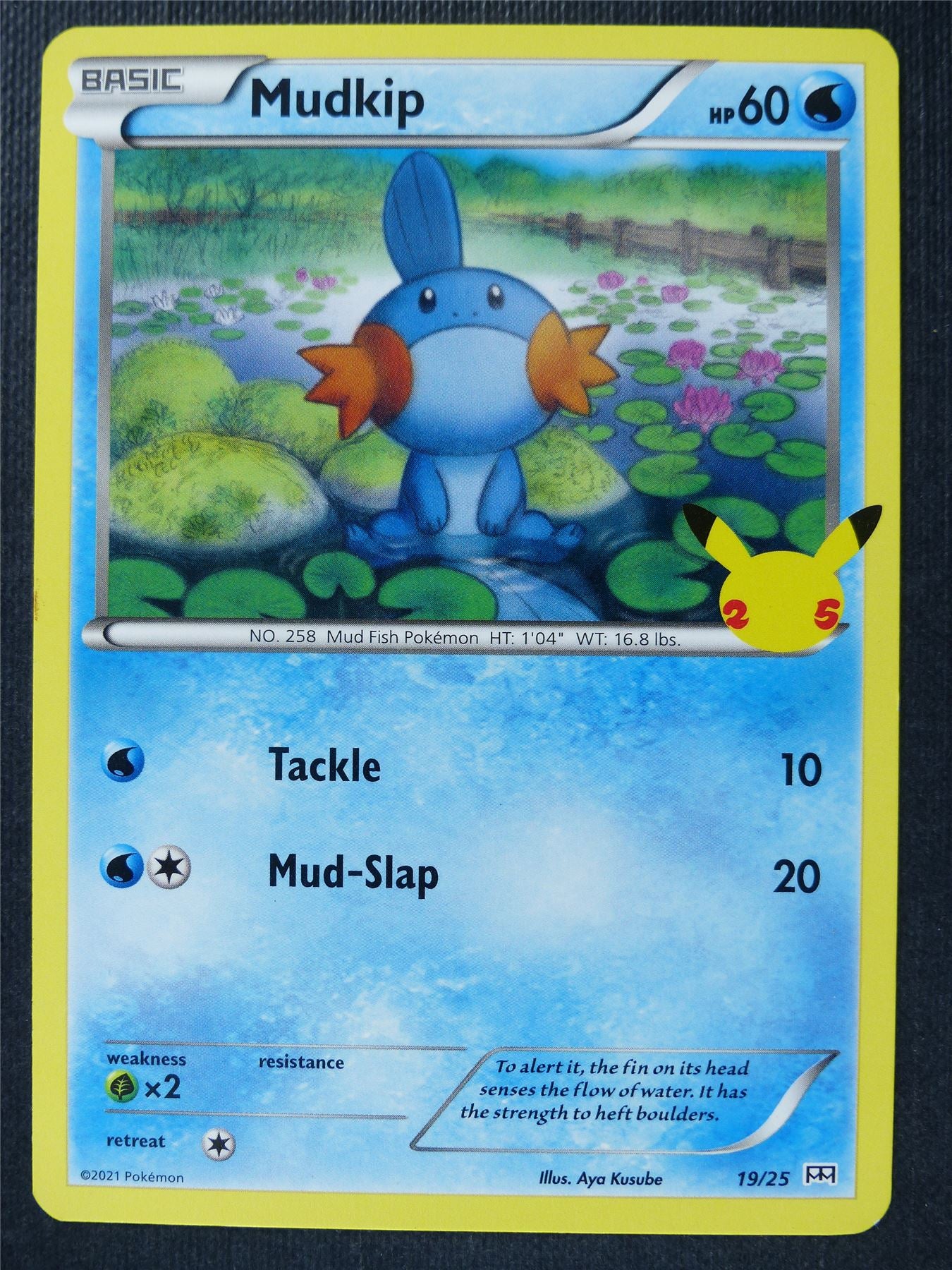 Mudkip 19/25 McDonalds Promo - Pokemon Card #3M1