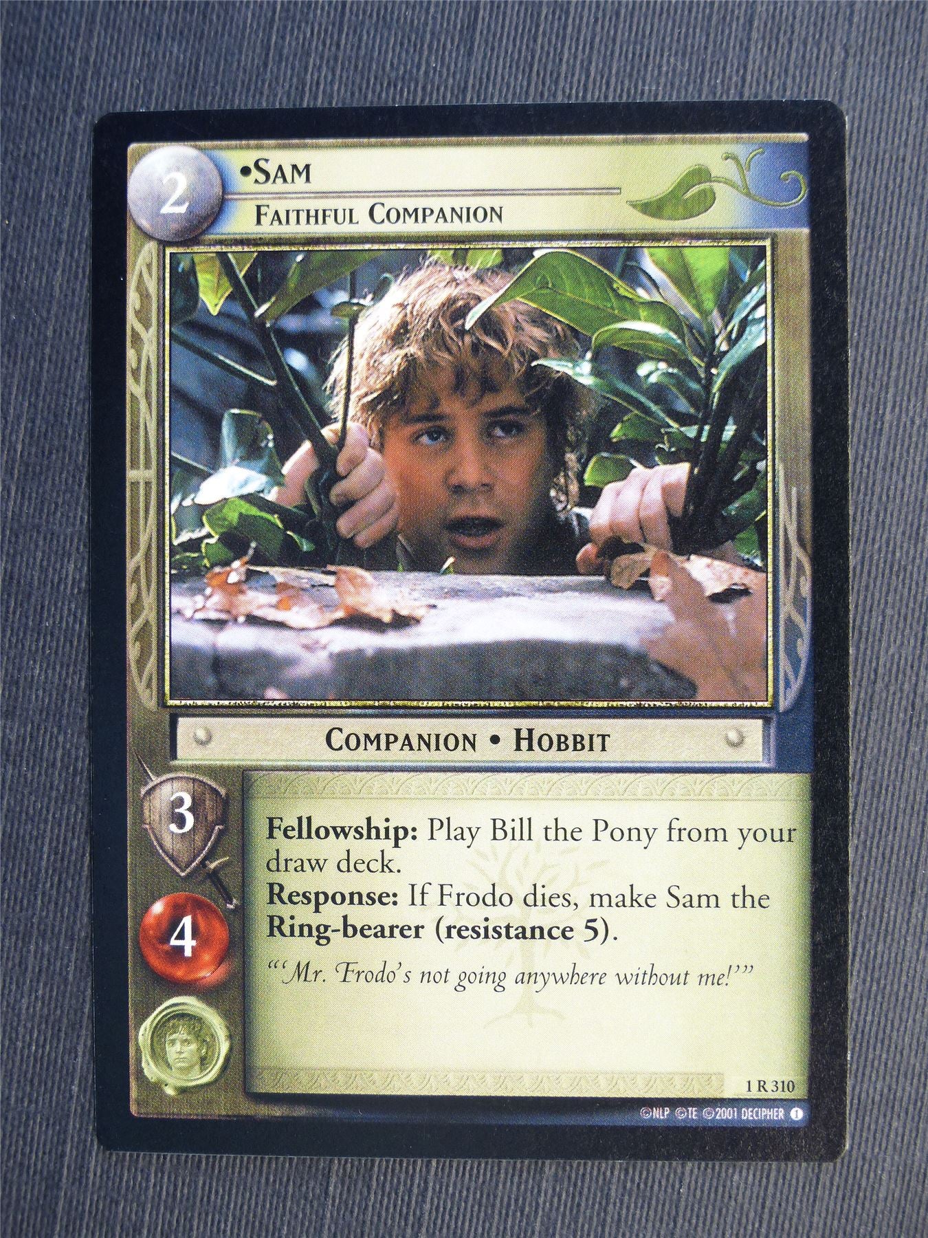 Too Much Attention 2 R 45 - LotR Cards #65Q