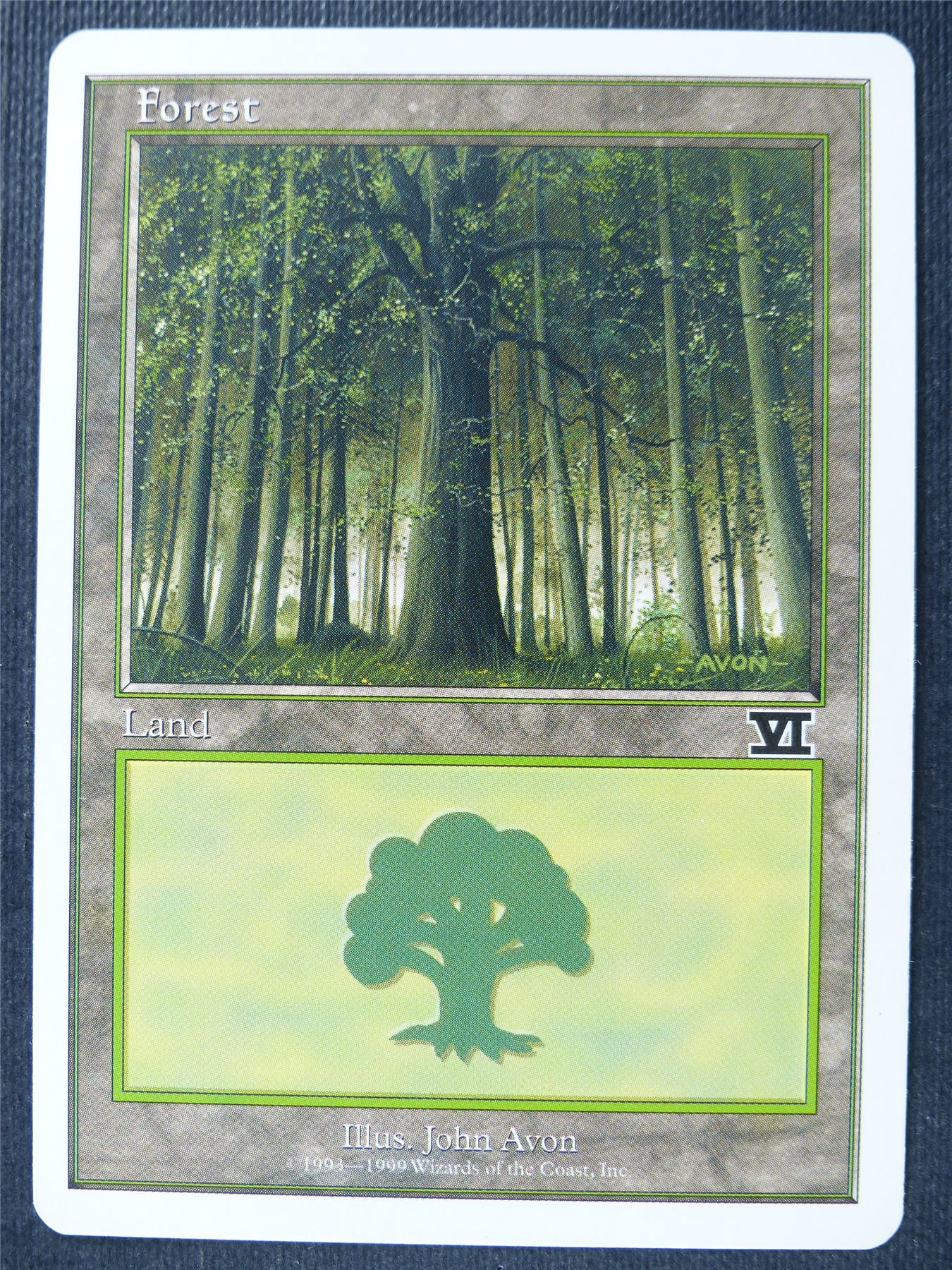 Forest - Sixth Ed - Mtg Card #1Y6
