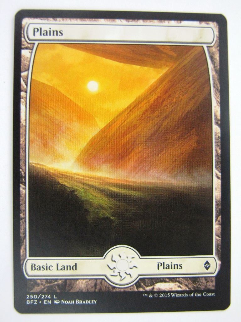 MTG Magic Cards: FULLART PLAINS 250/274 # 5D21