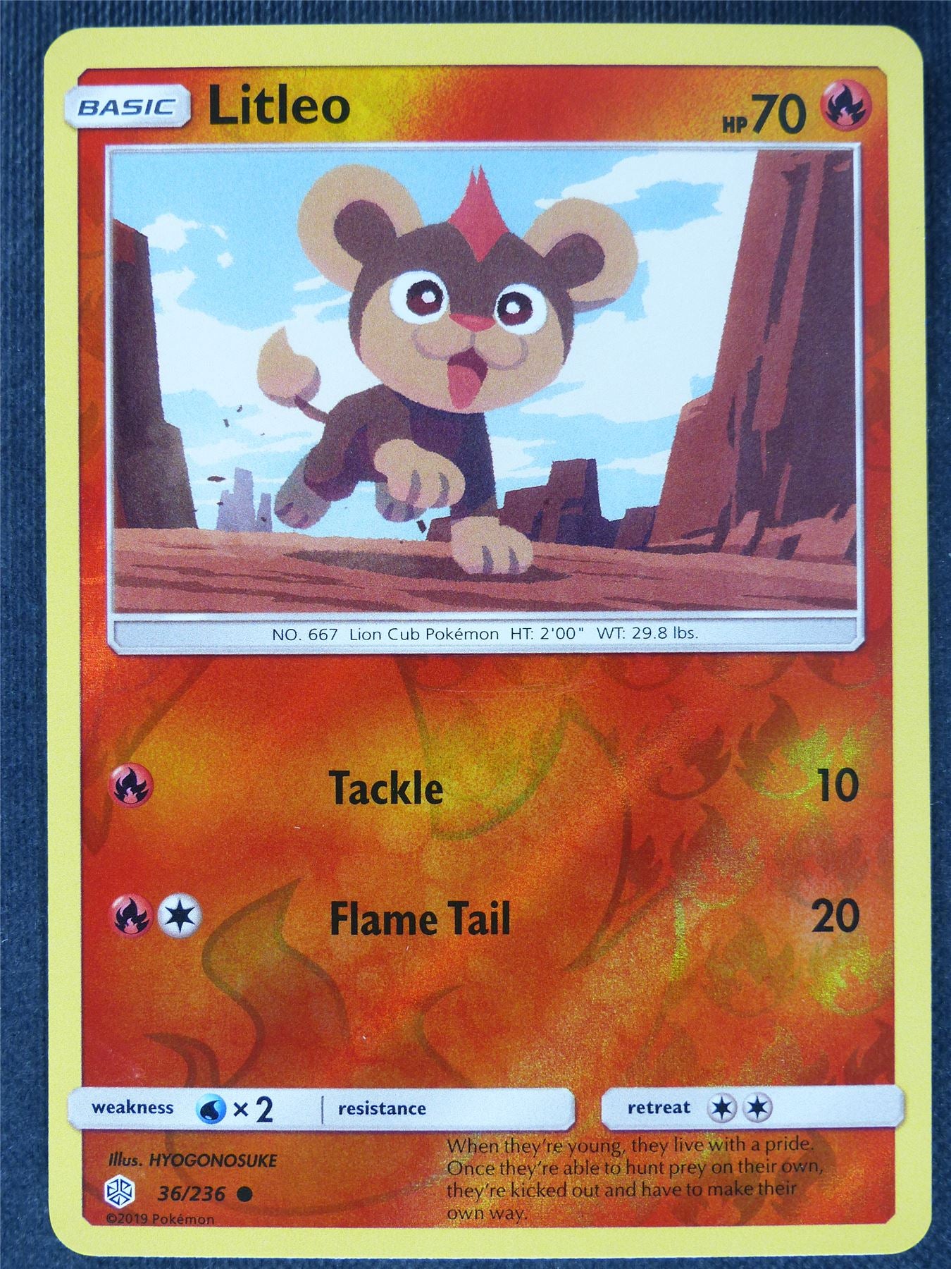 Litleo 36/236 Reverse Holo - Pokemon Cards #BO