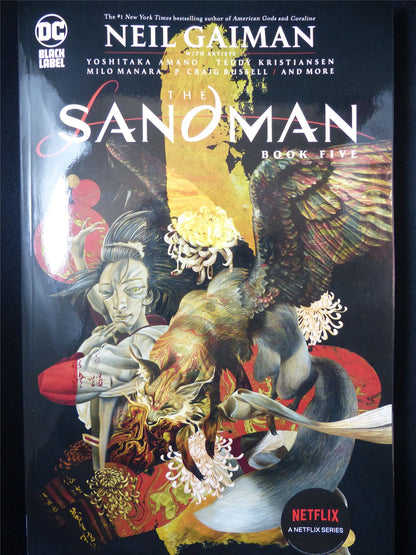 The SANDMAN Book Five - DC Graphic Novel Softback #2VI