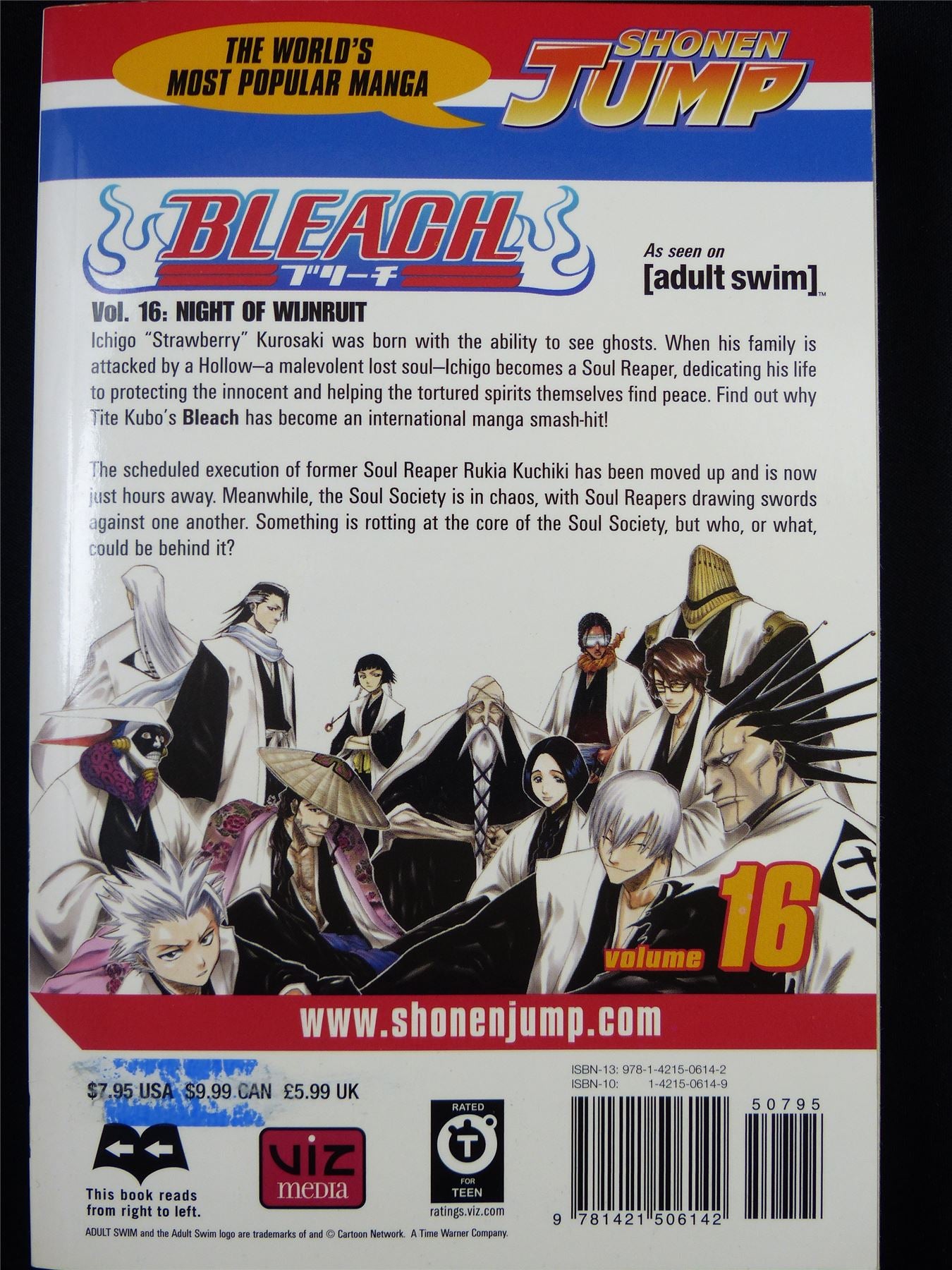 BLEACH Volume 16 - Shonen Jump Viz Manga #3IQ