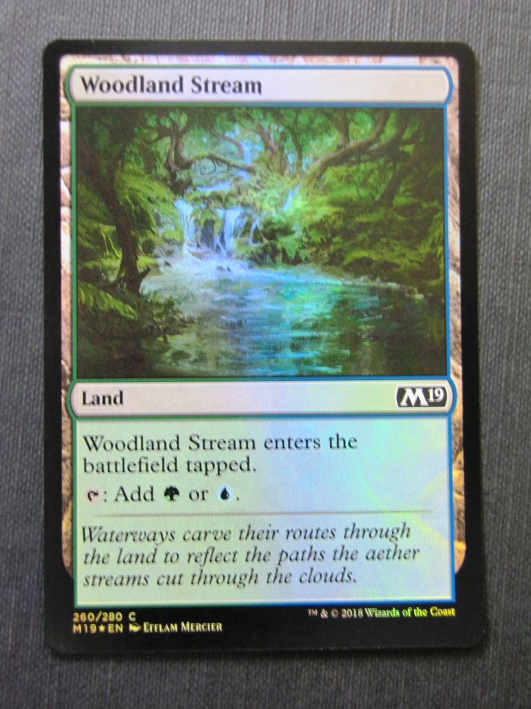 Woodland Stream Foil - Mtg Magic Cards #G8