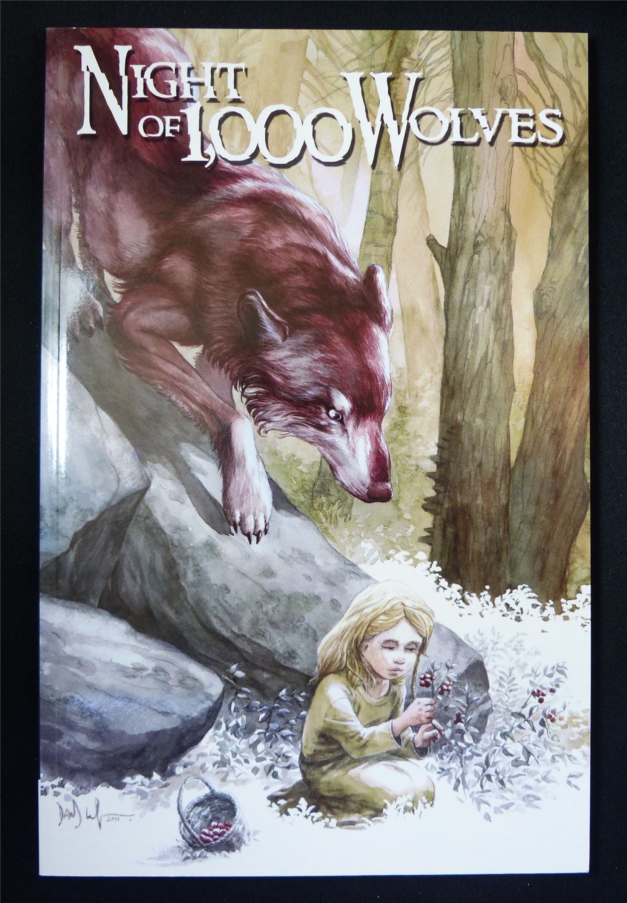 NIGHT of 1000 Wolves - IDW Graphic Softback #24H