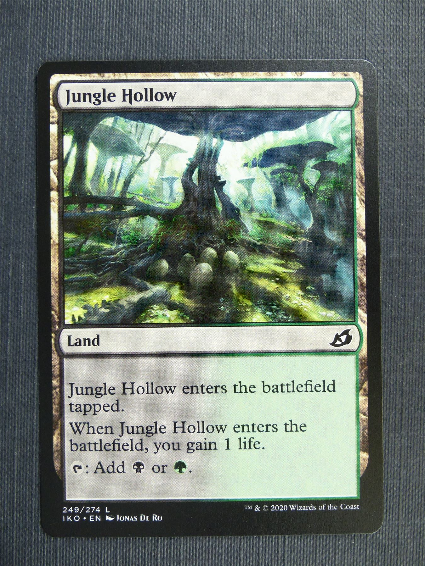 Jungle Hollows - IKO Mtg Card